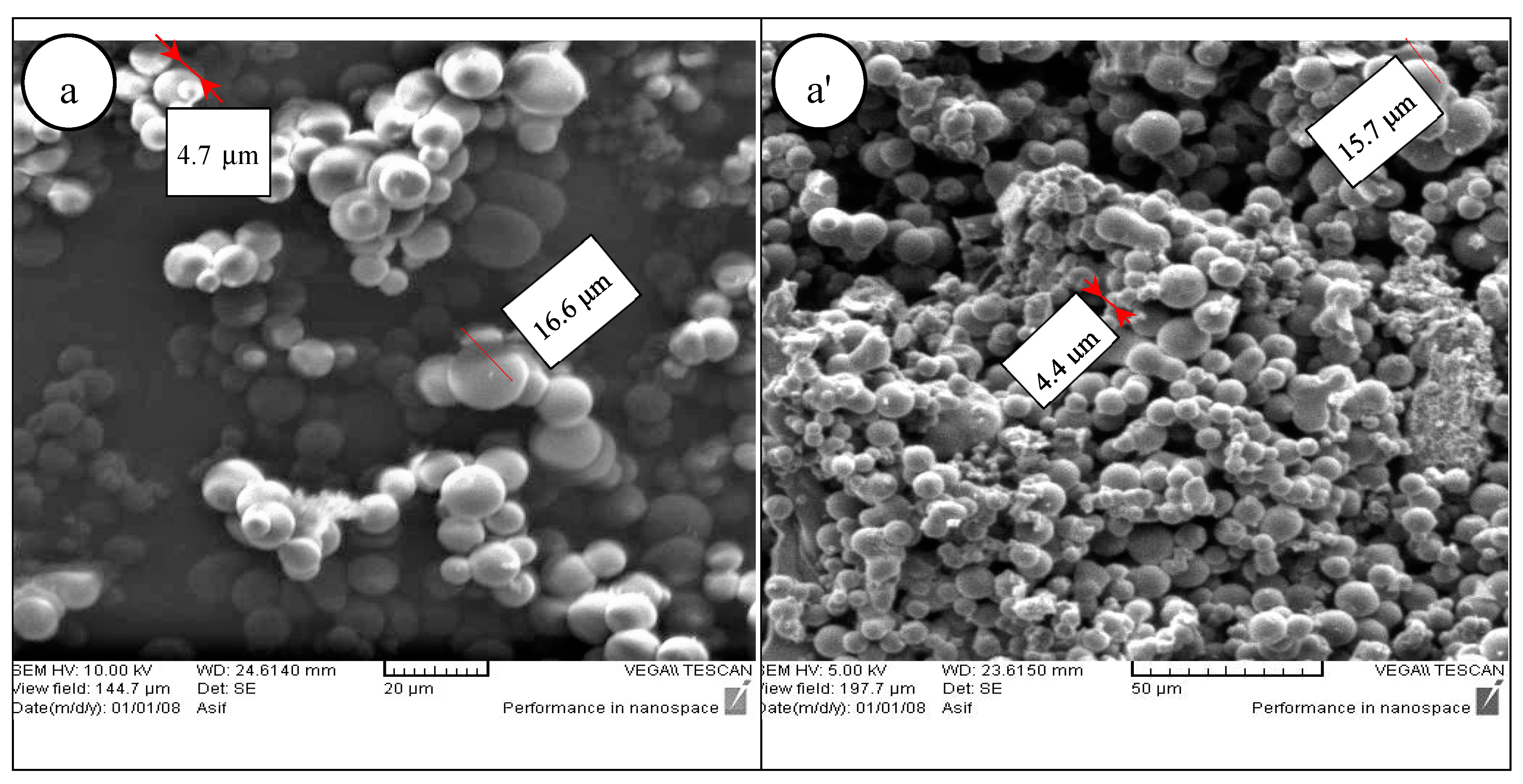 Preprints 78357 g001a