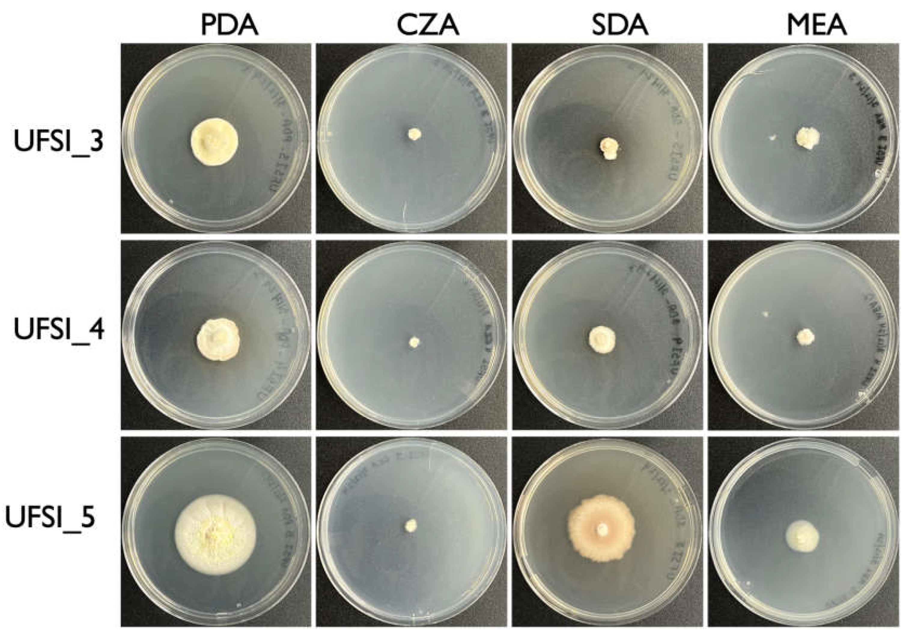 Preprints 117776 g002