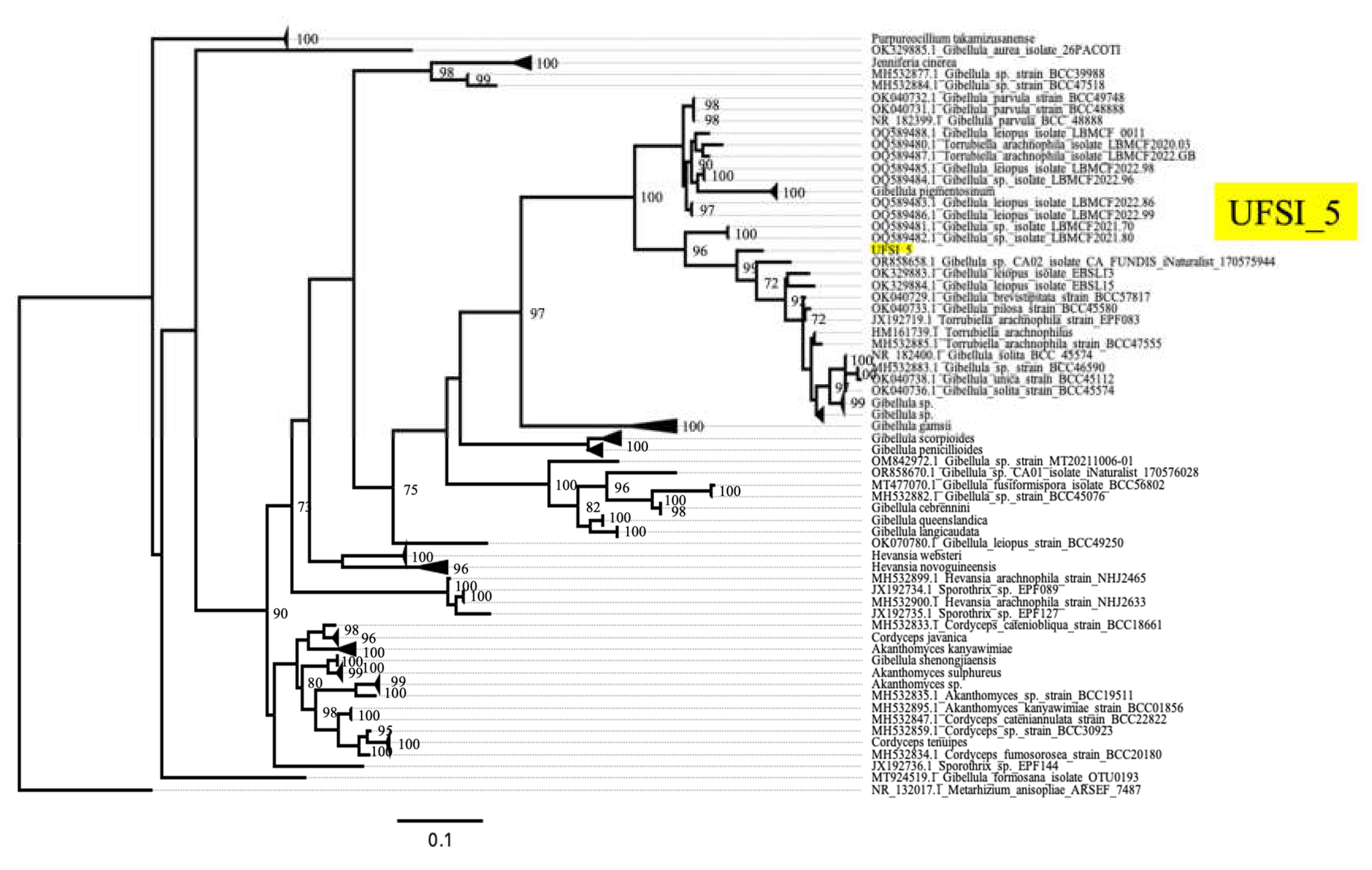 Preprints 117776 g005