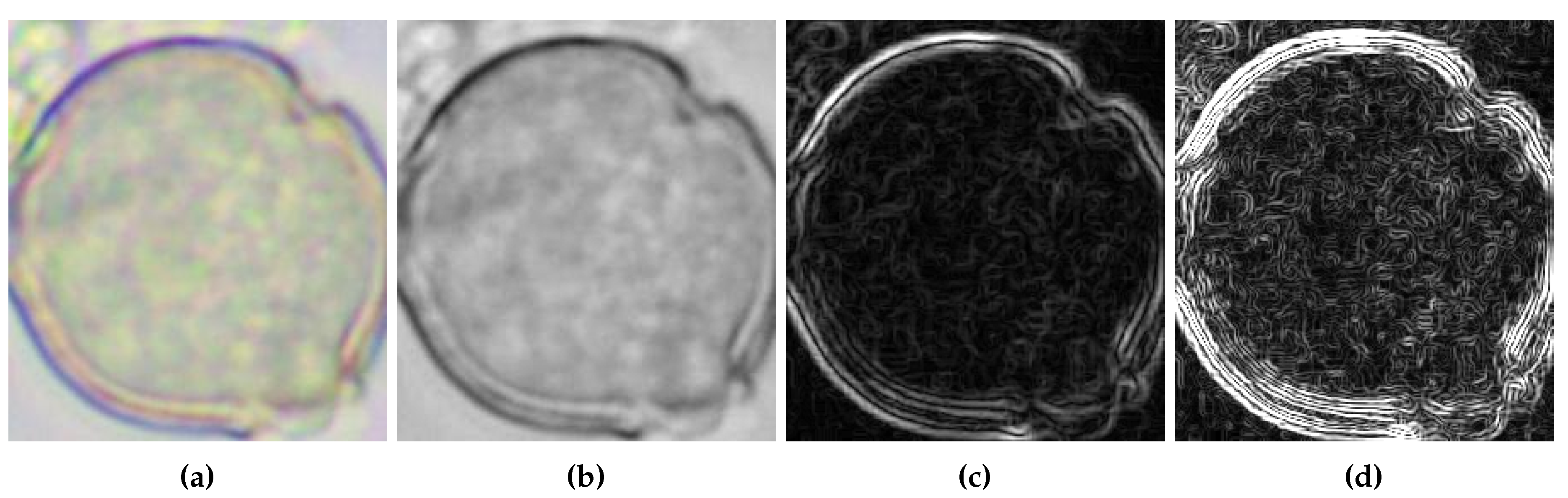 Preprints 114747 g003