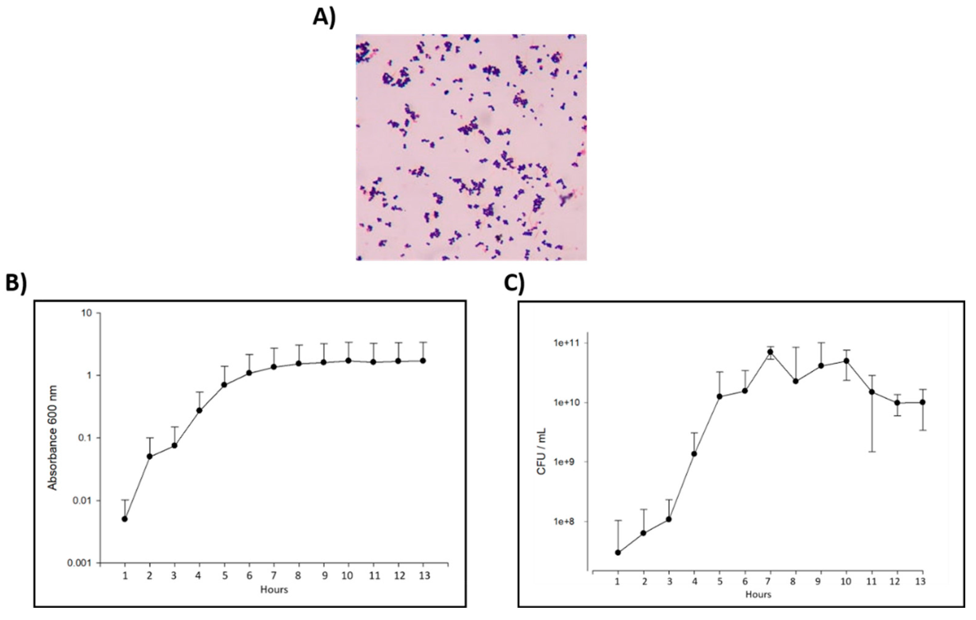 Preprints 81297 g001