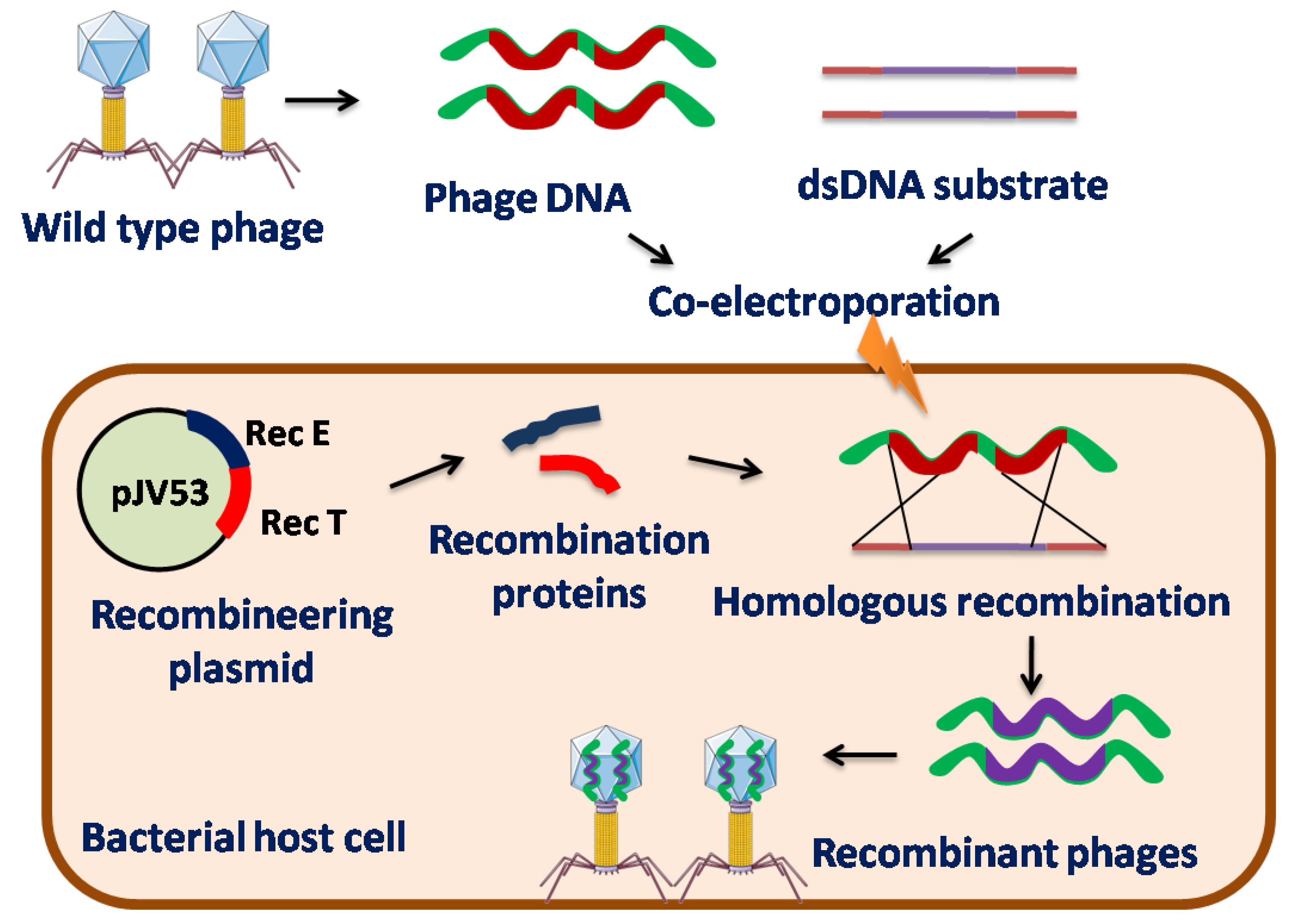 Preprints 73265 g002