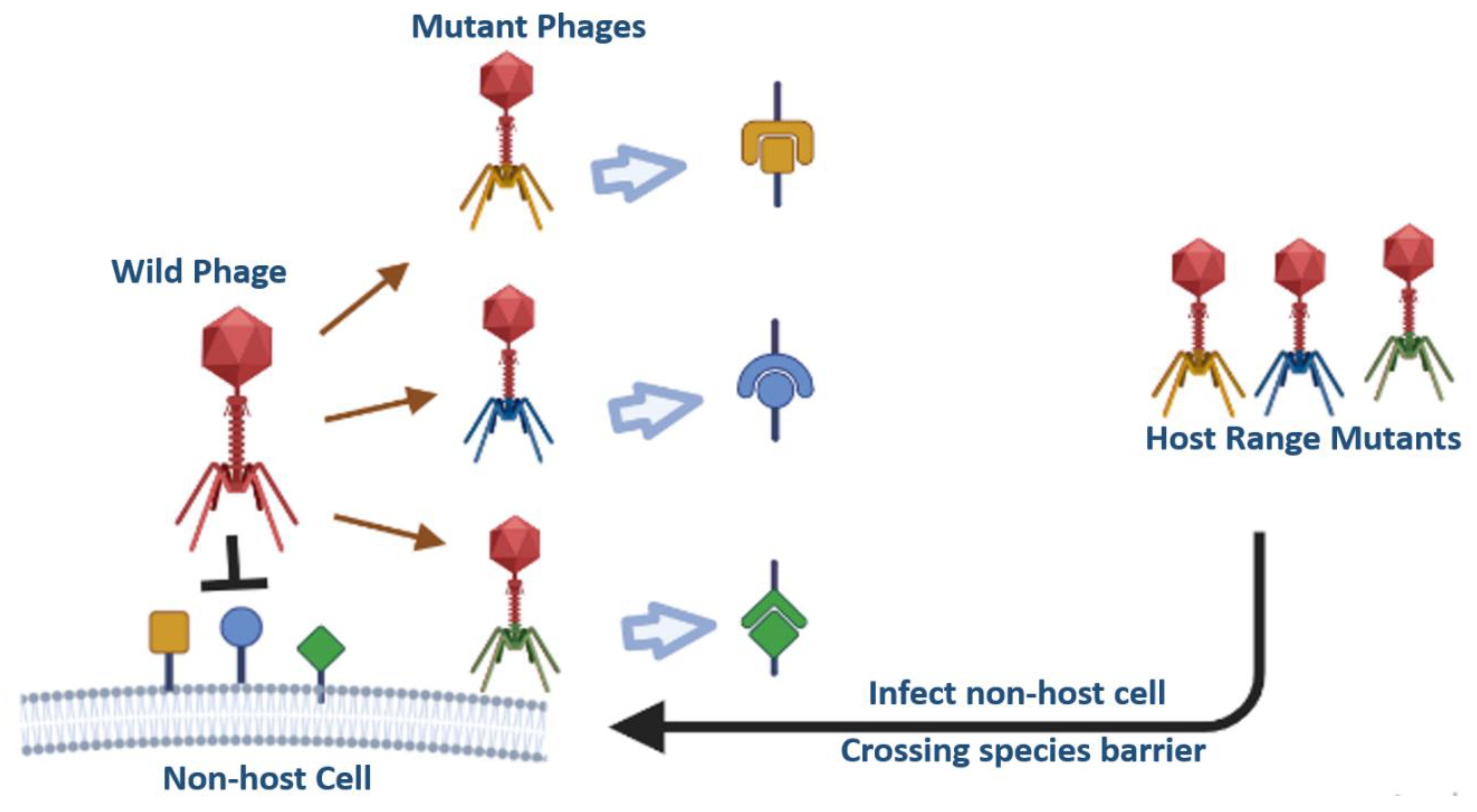 Preprints 73265 g004