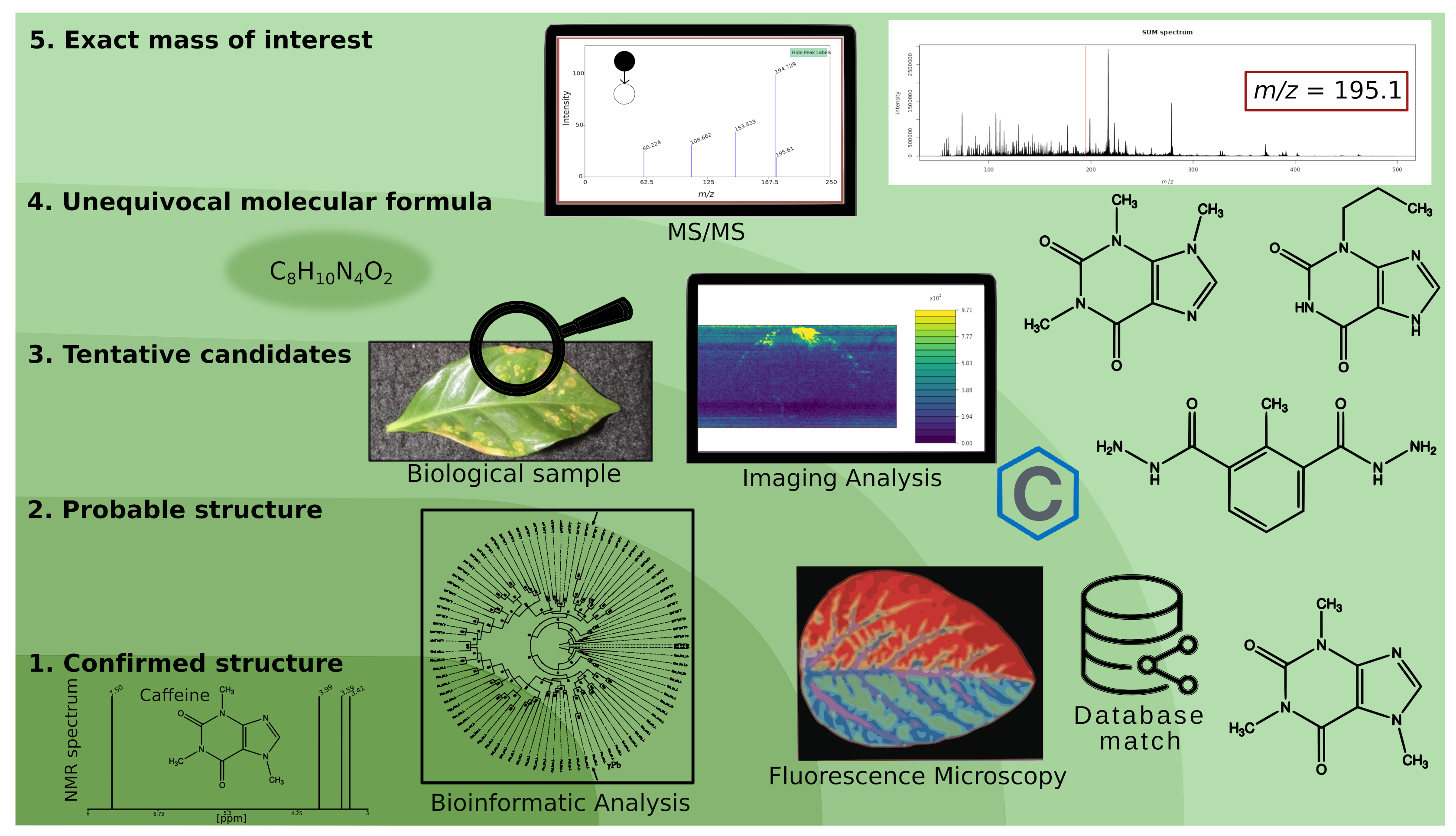 Preprints 110225 g001