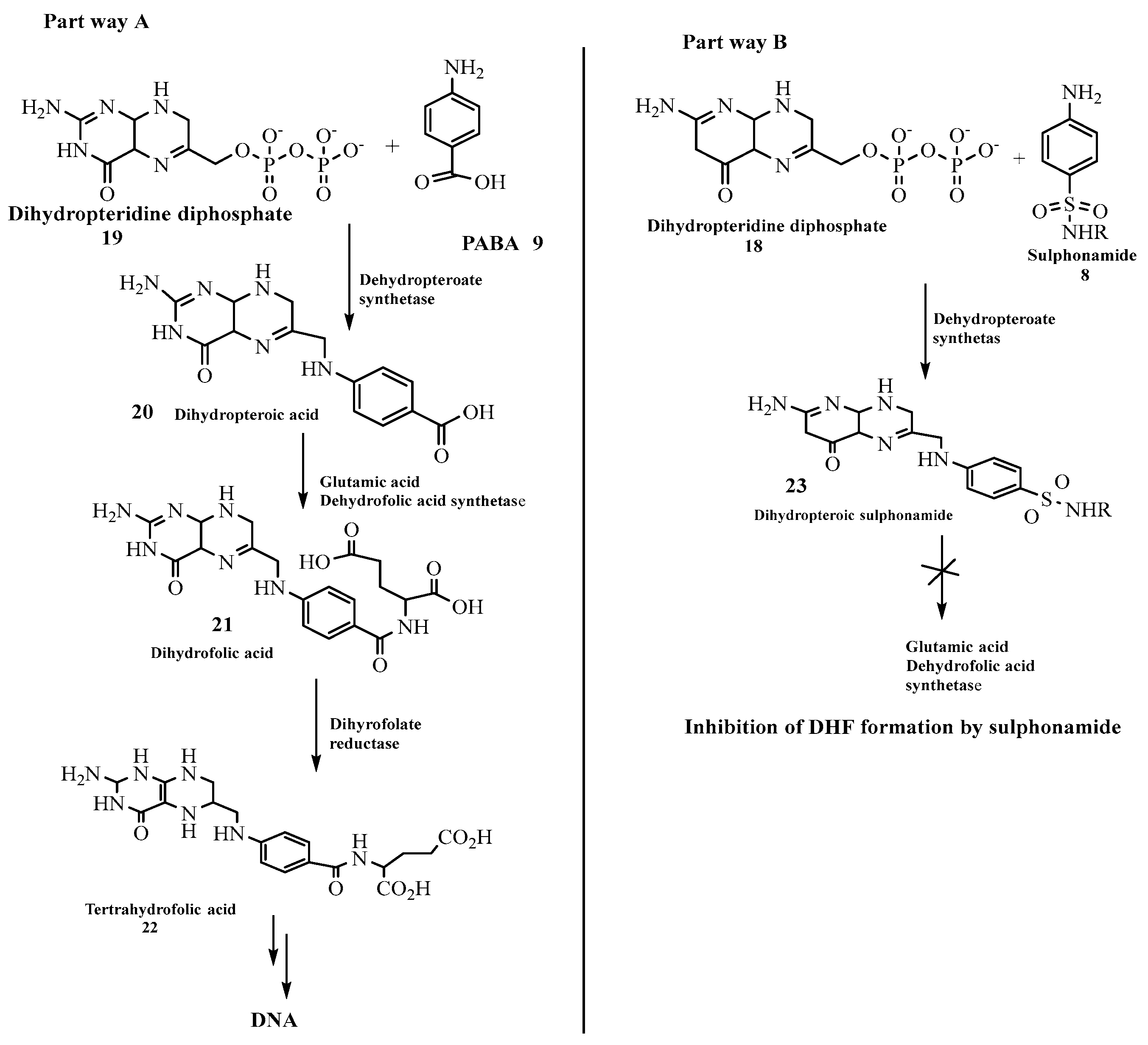 Preprints 97159 sch001