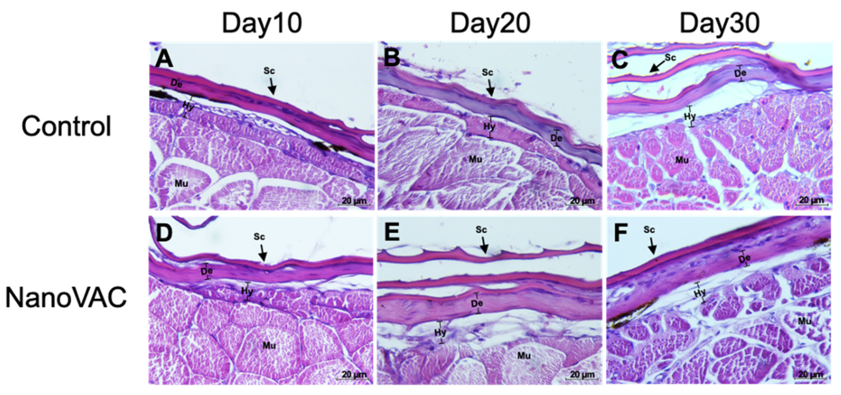 Preprints 89962 g005