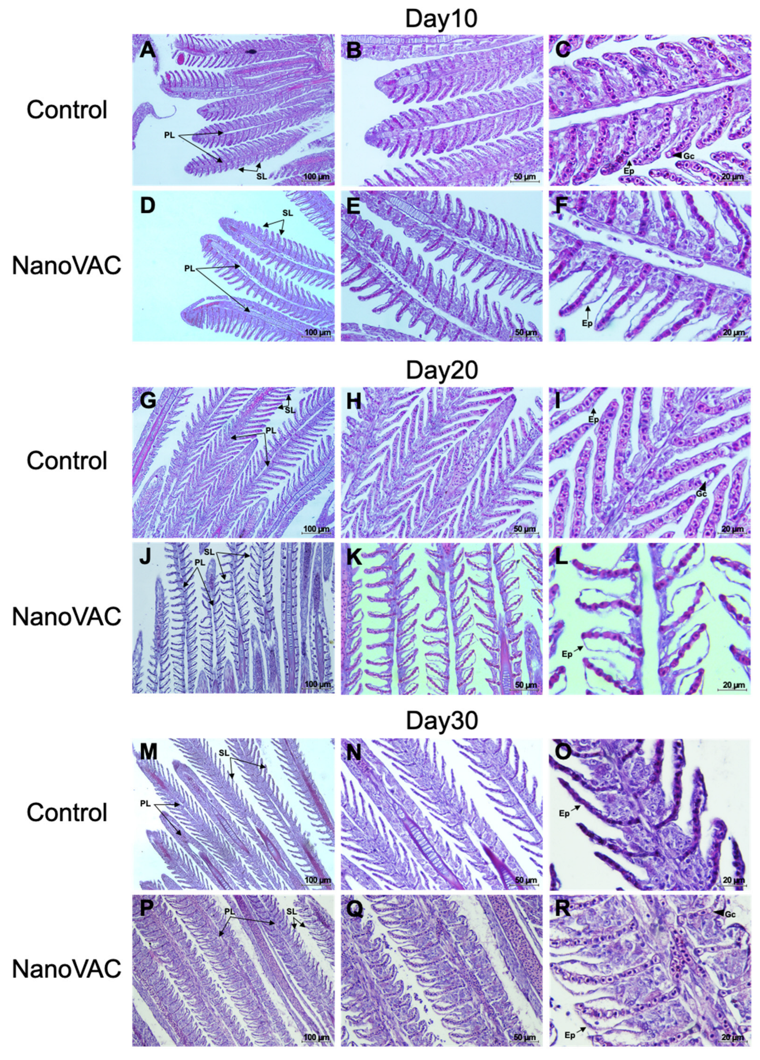 Preprints 89962 g006