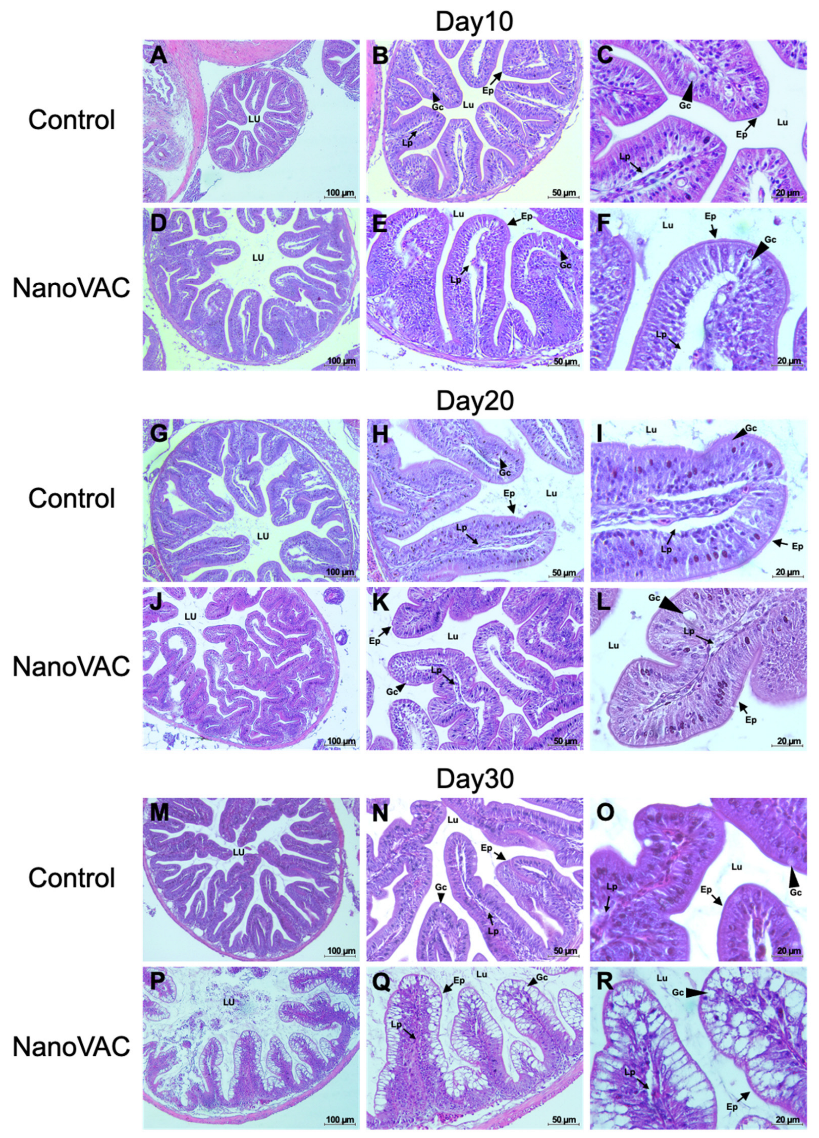 Preprints 89962 g008