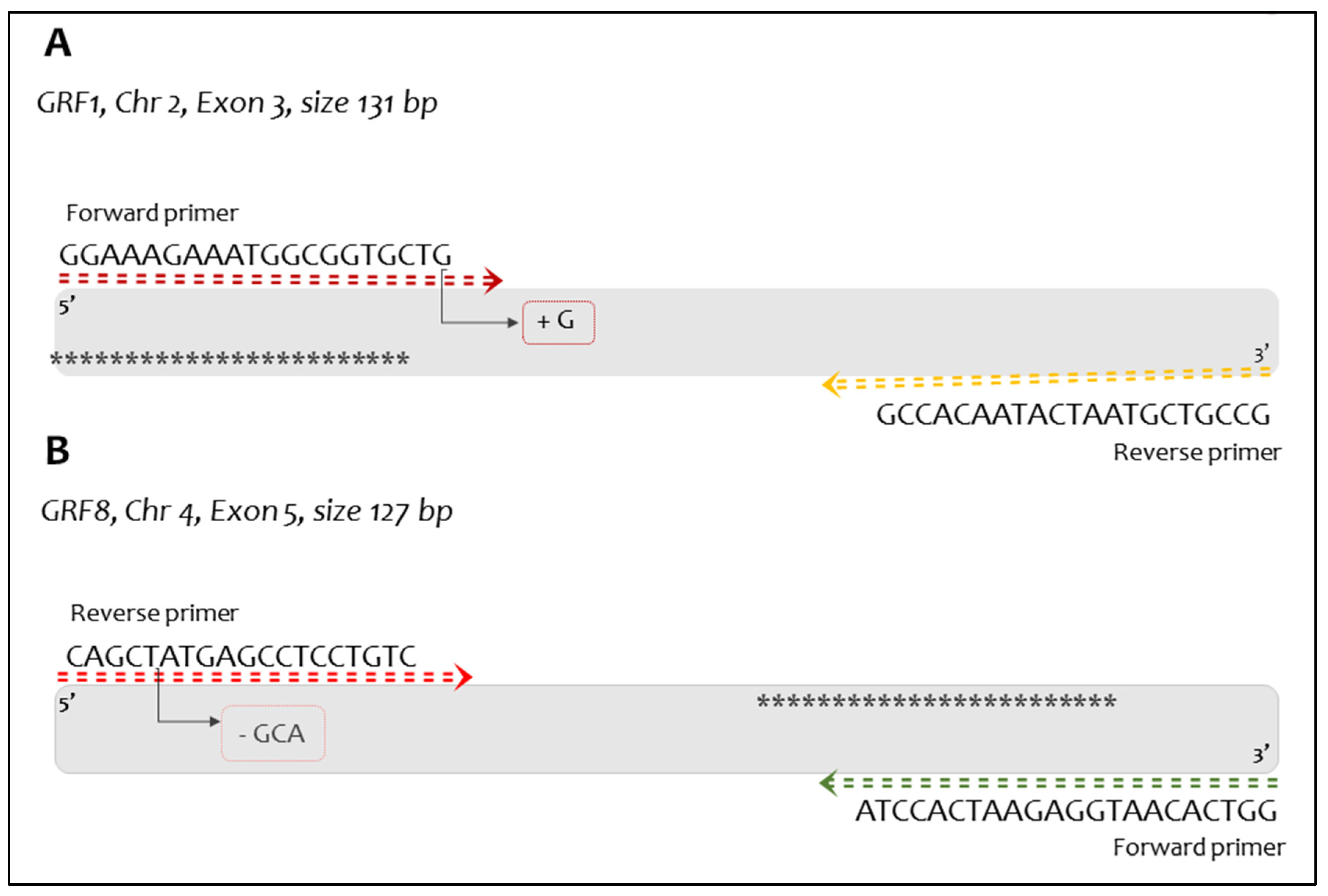 Preprints 85693 g002