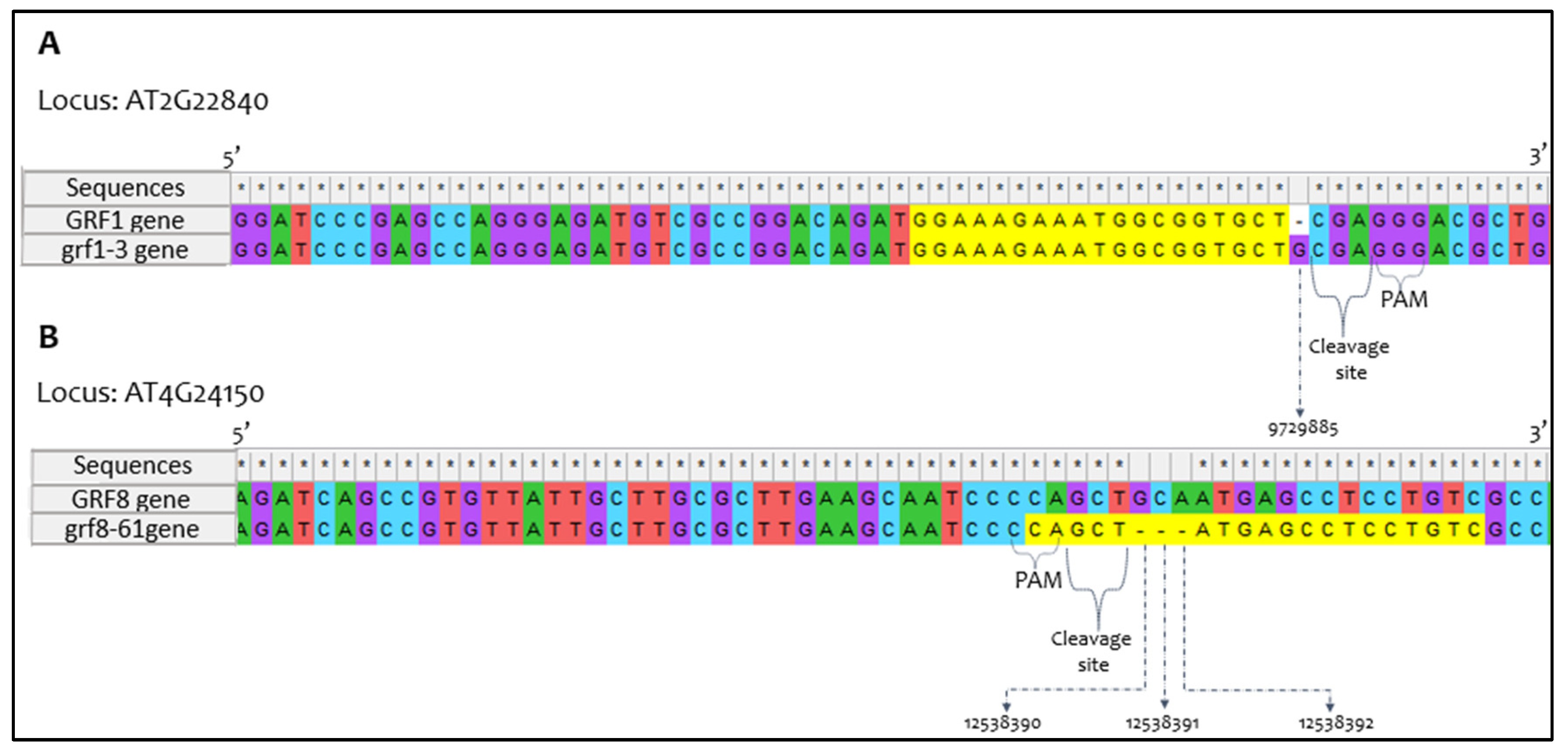 Preprints 85693 g003