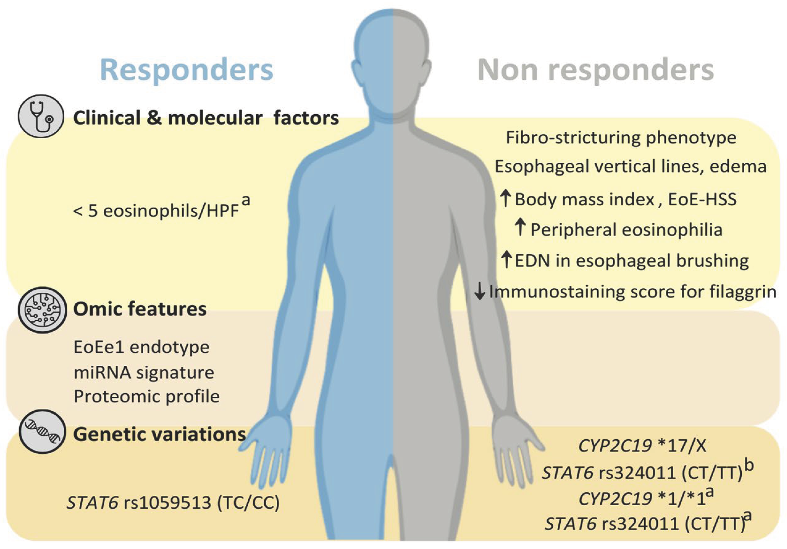 Preprints 99906 g001