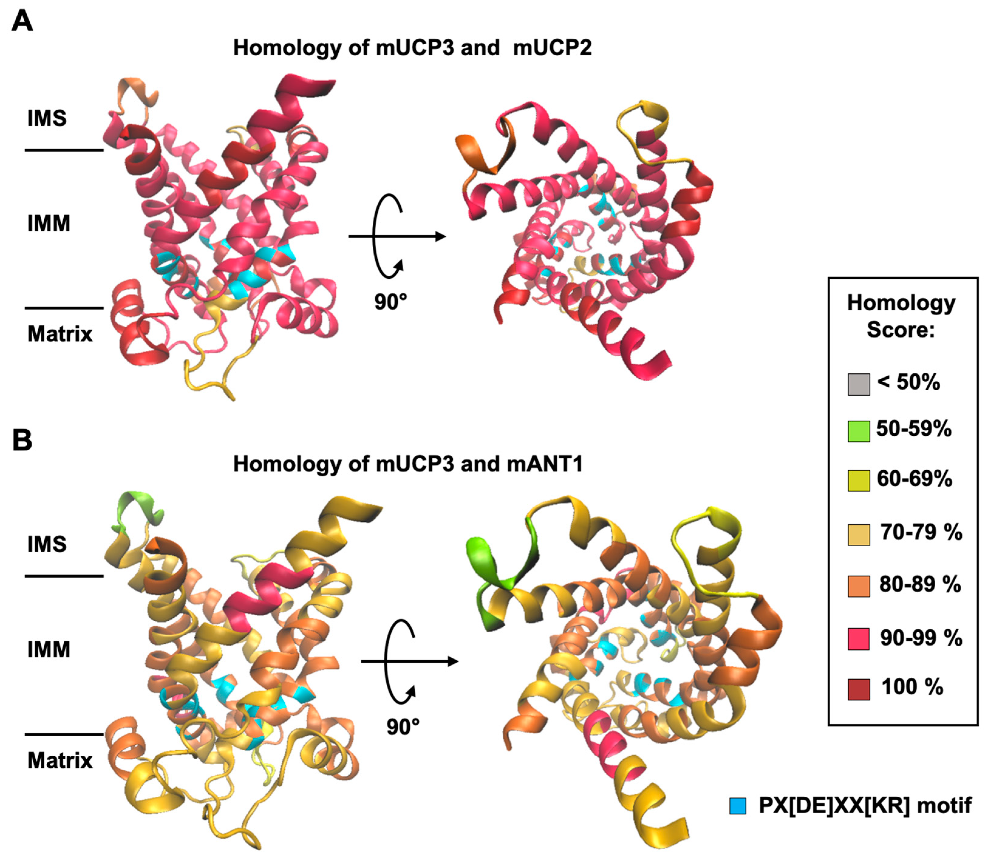 Preprints 93467 g001