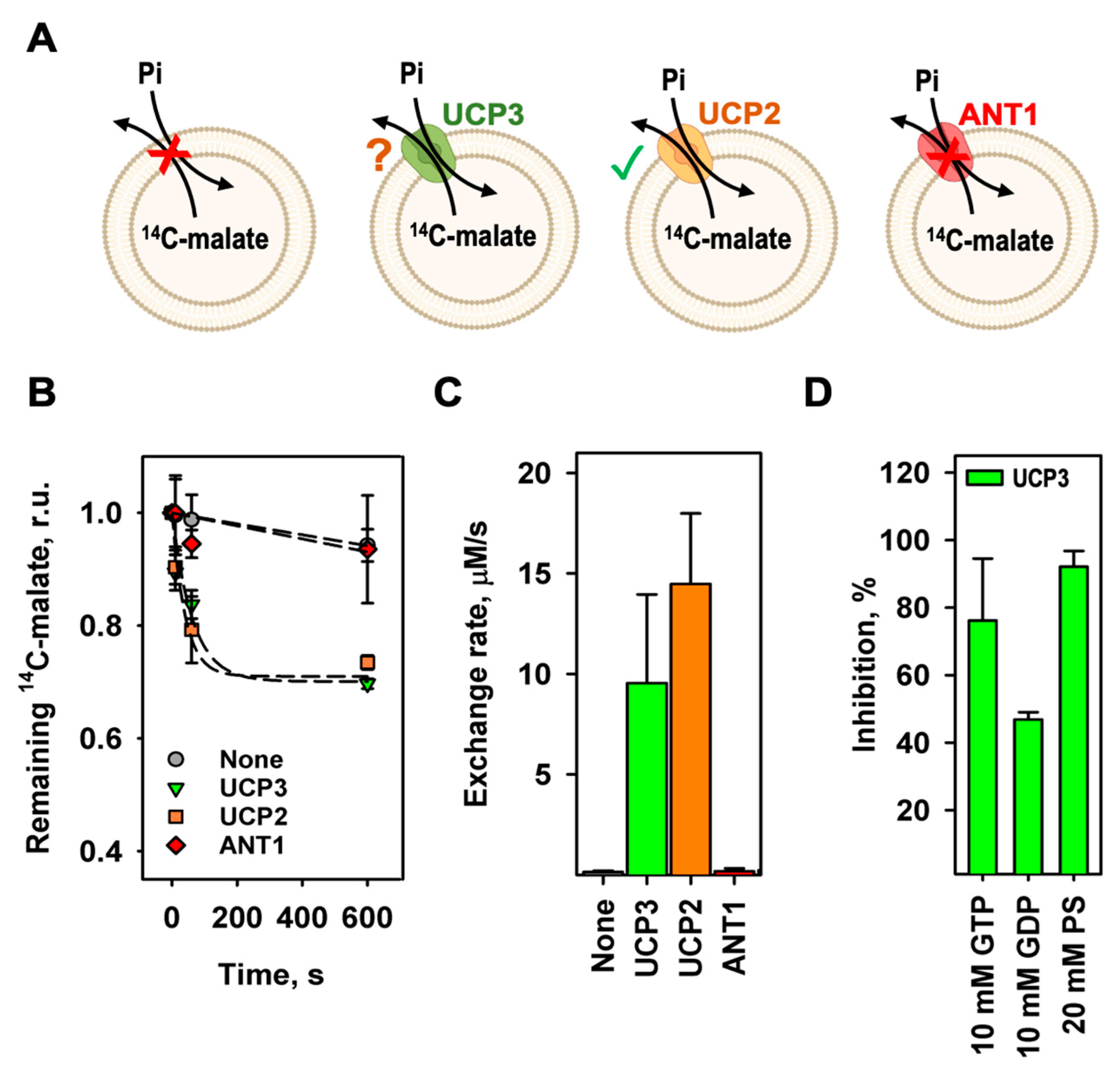 Preprints 93467 g002