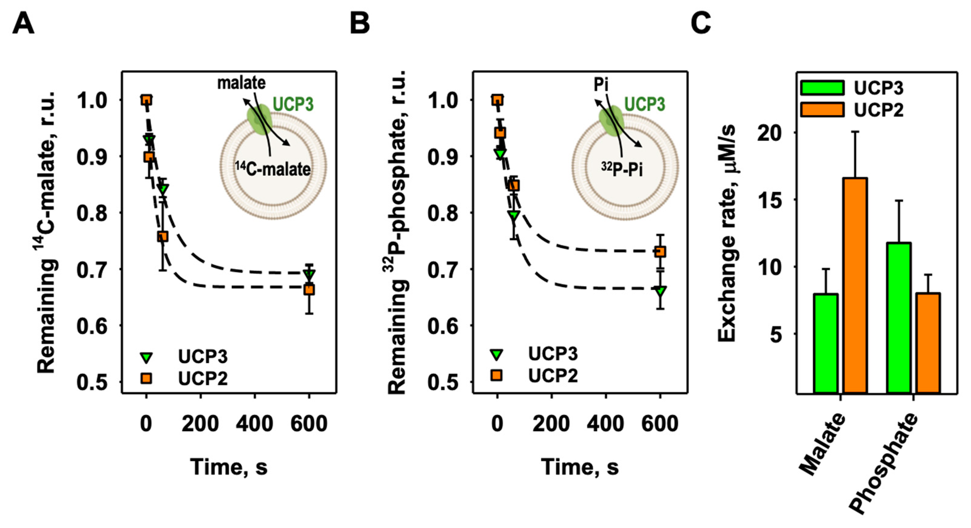 Preprints 93467 g003