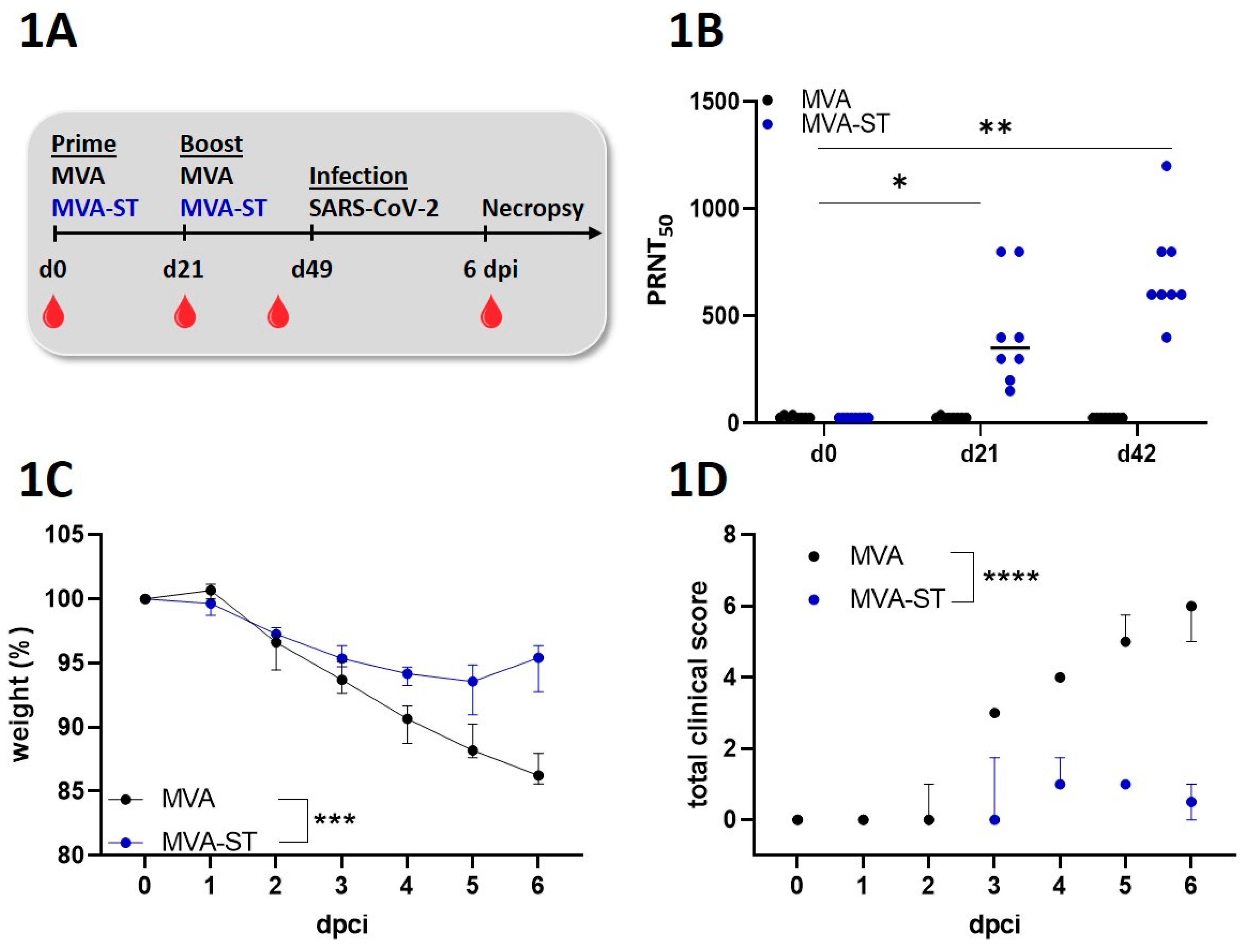 Preprints 91713 g001