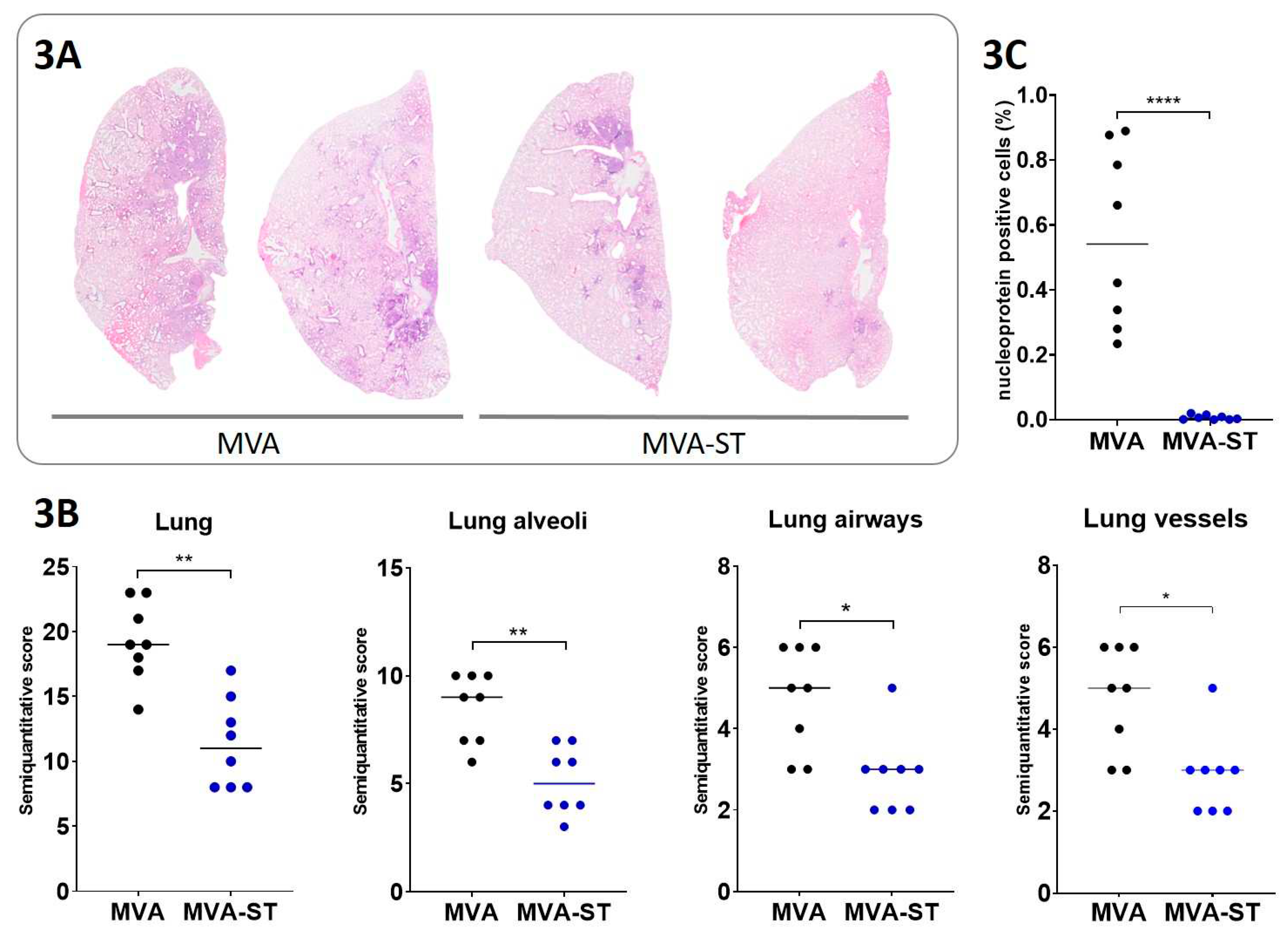 Preprints 91713 g003