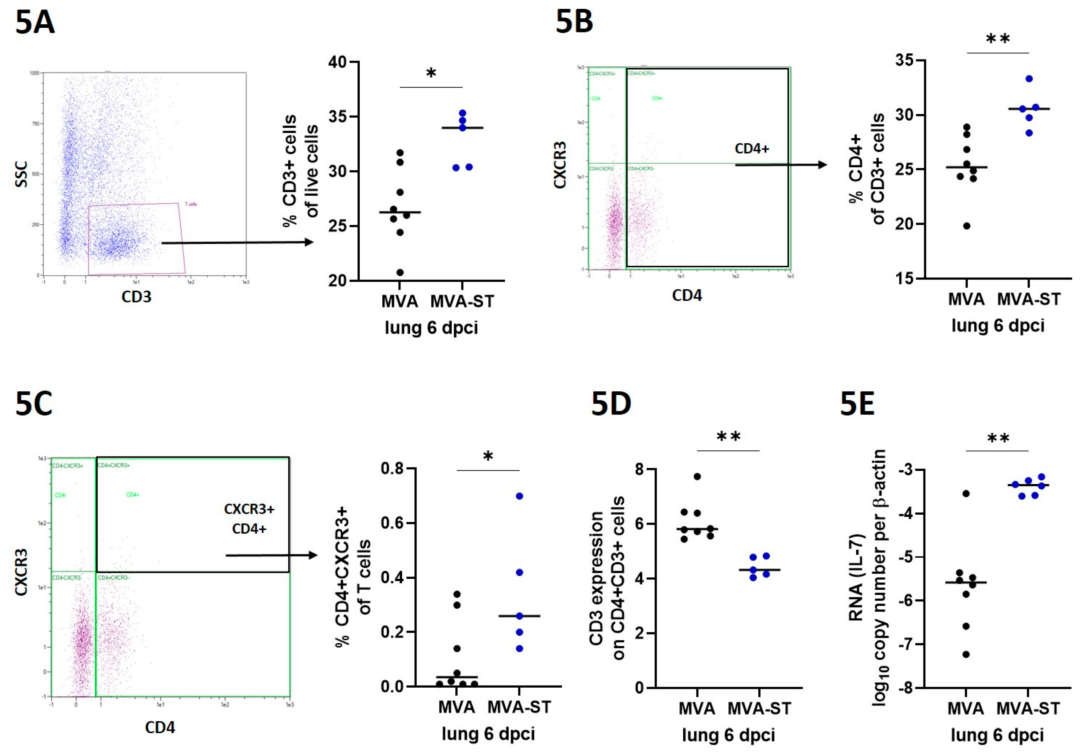 Preprints 91713 g005