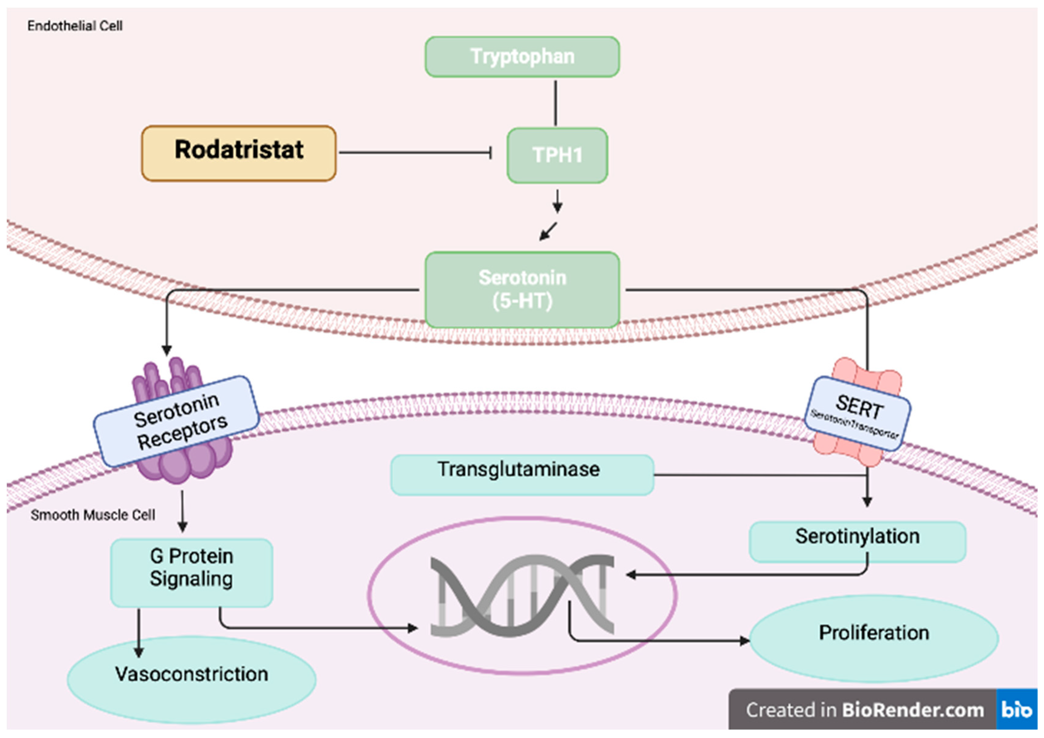 Preprints 82152 g004