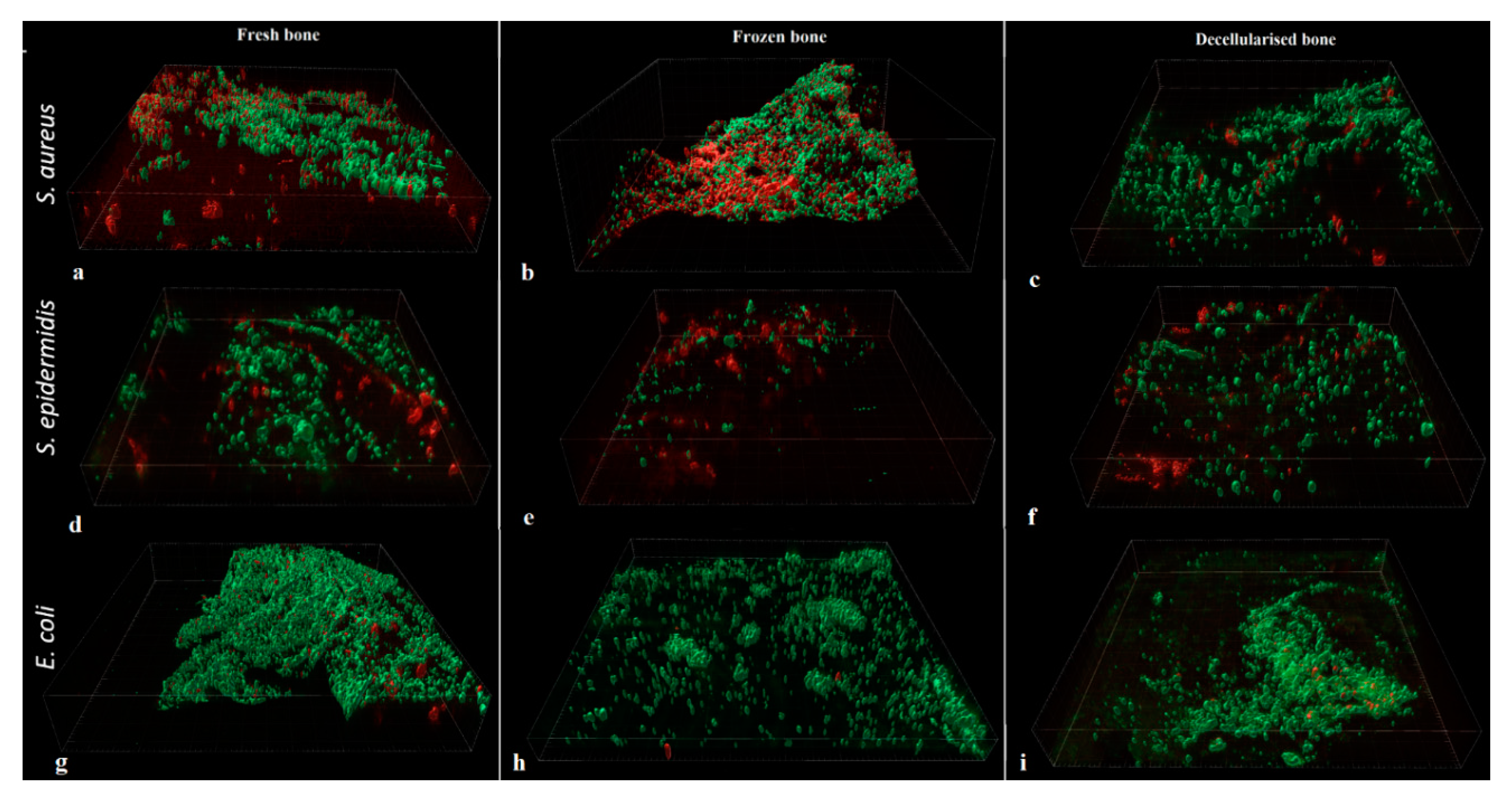 Preprints 78802 g006