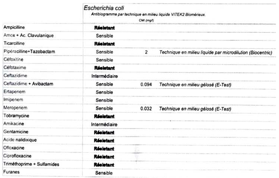 Preprints 78802 i002