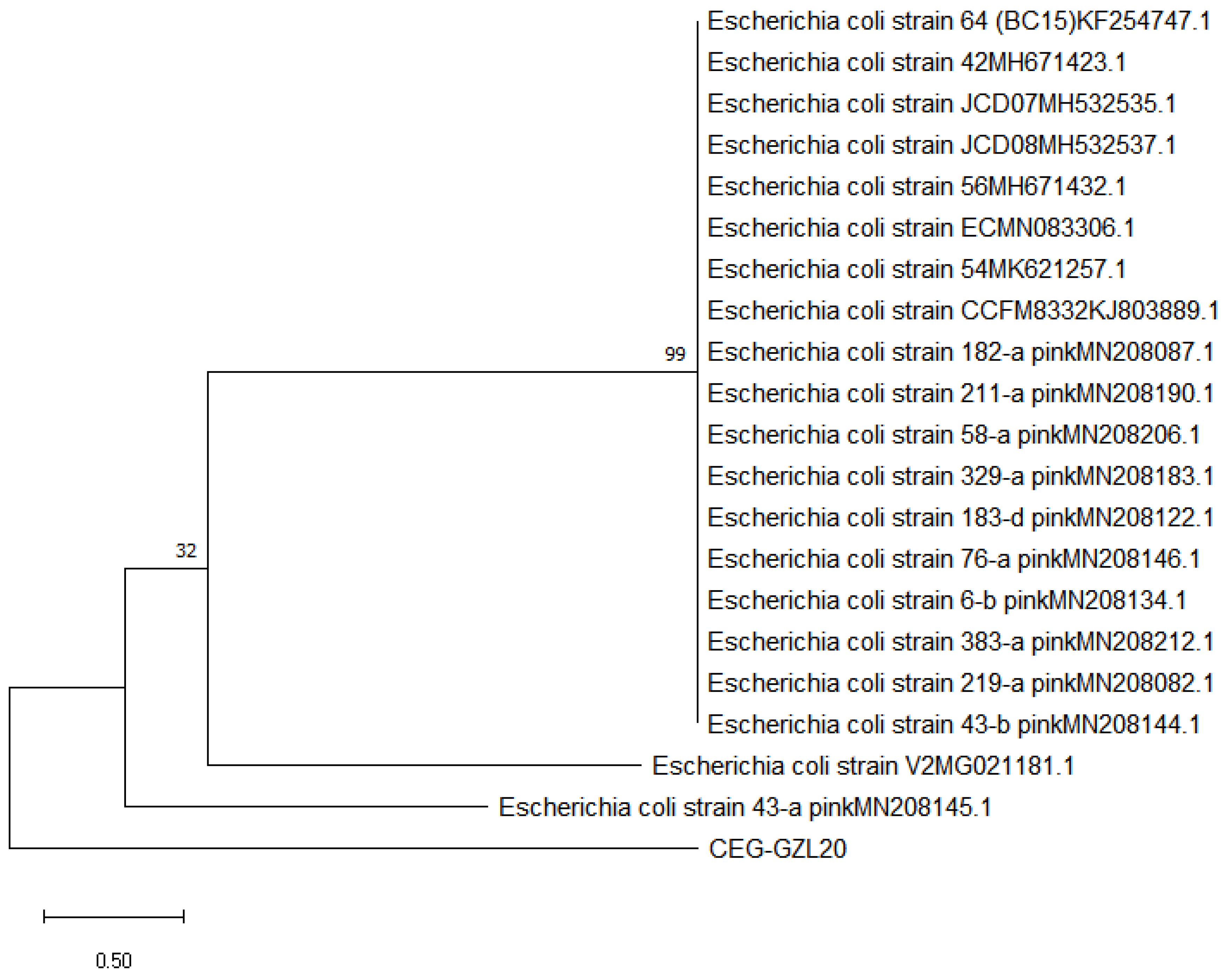 Preprints 82060 g005