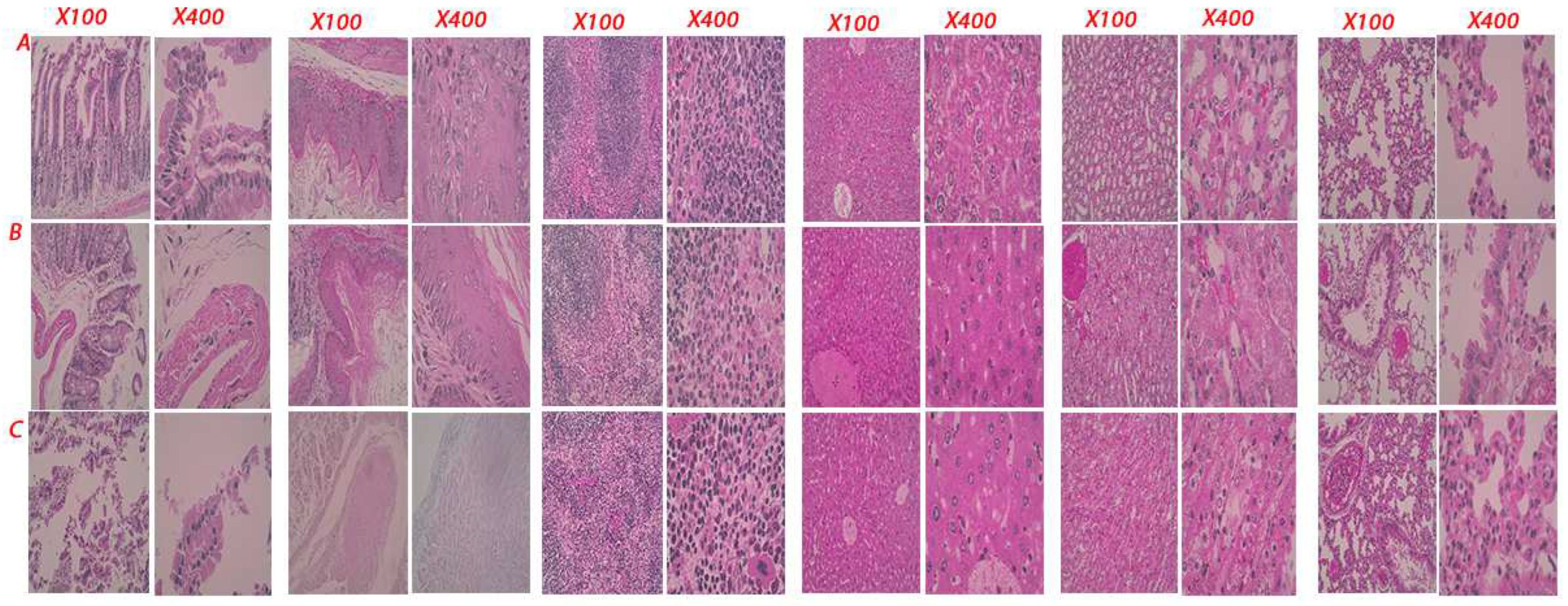 Preprints 82060 g008