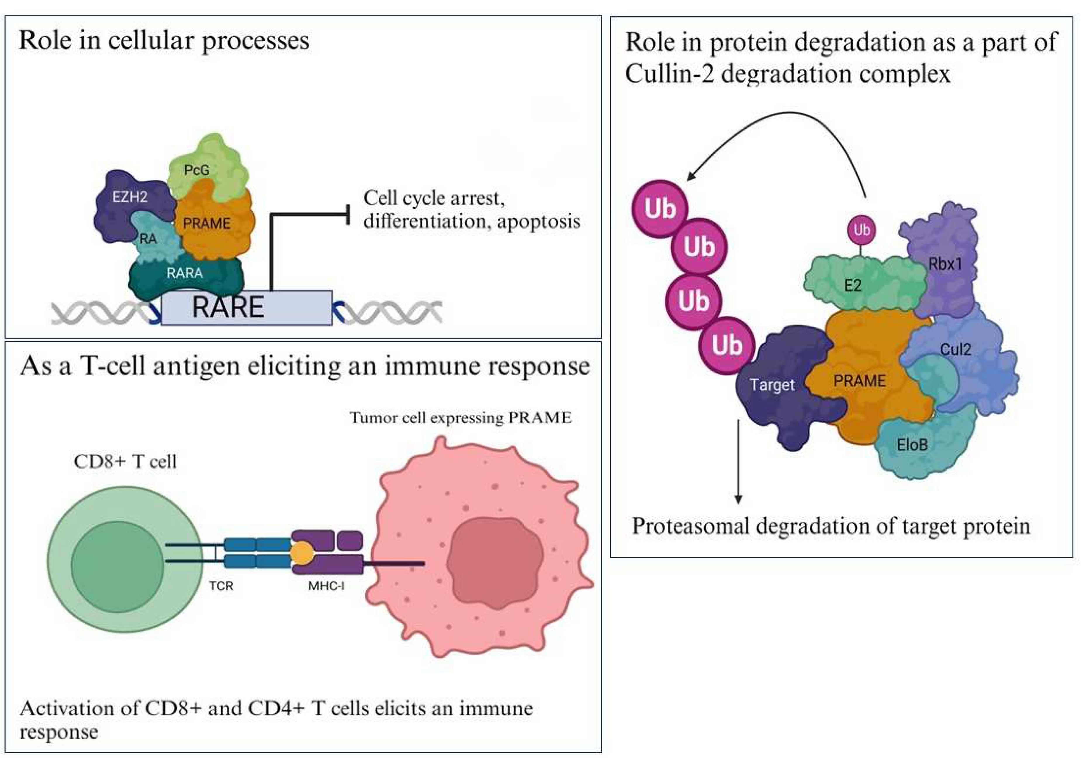 Preprints 82332 g002