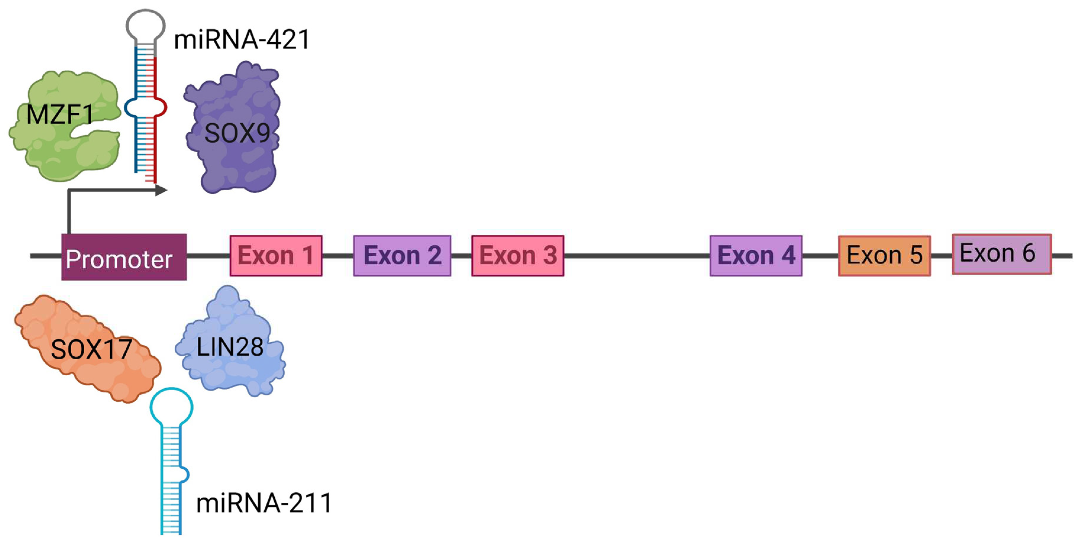 Preprints 82332 g003