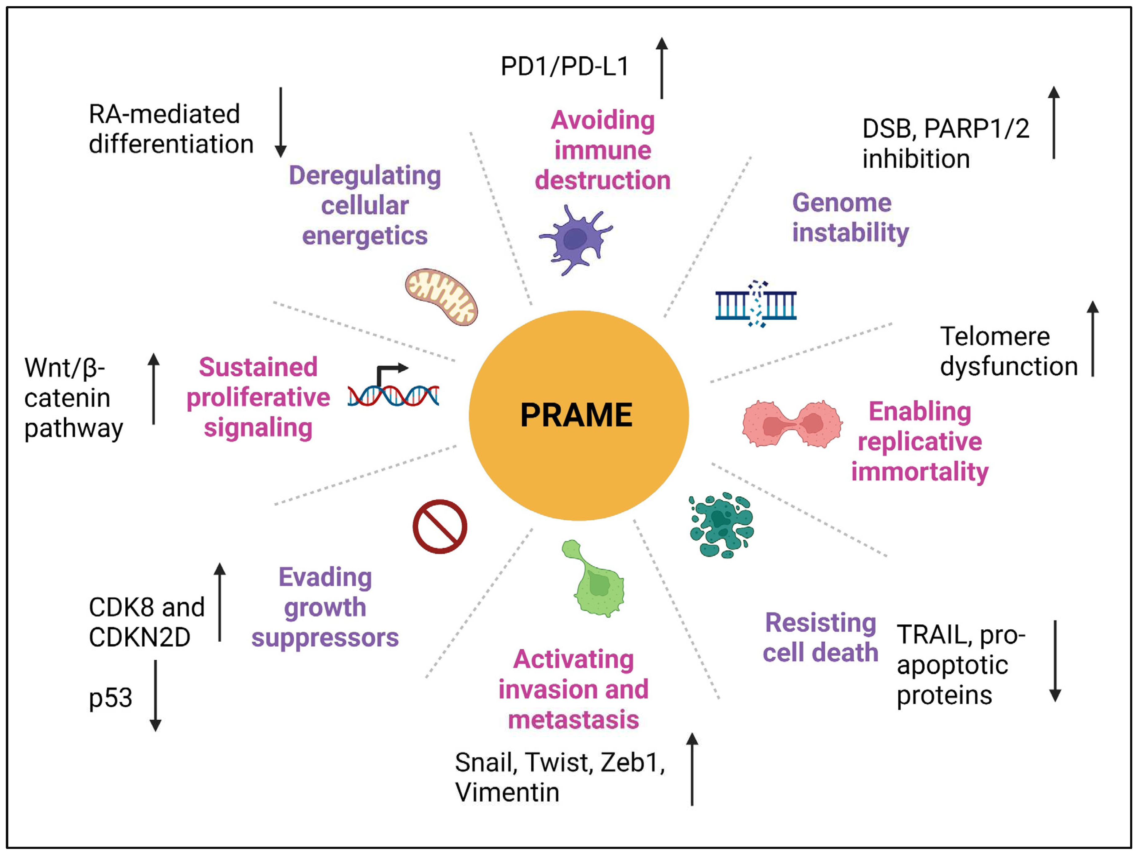 Preprints 82332 g004