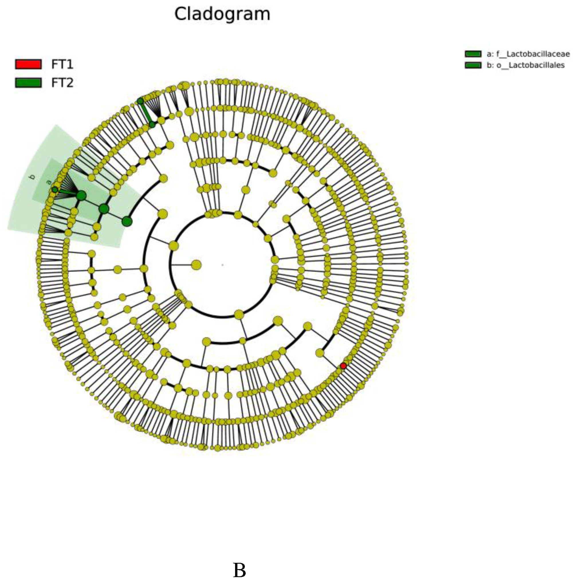 Preprints 86148 g003b