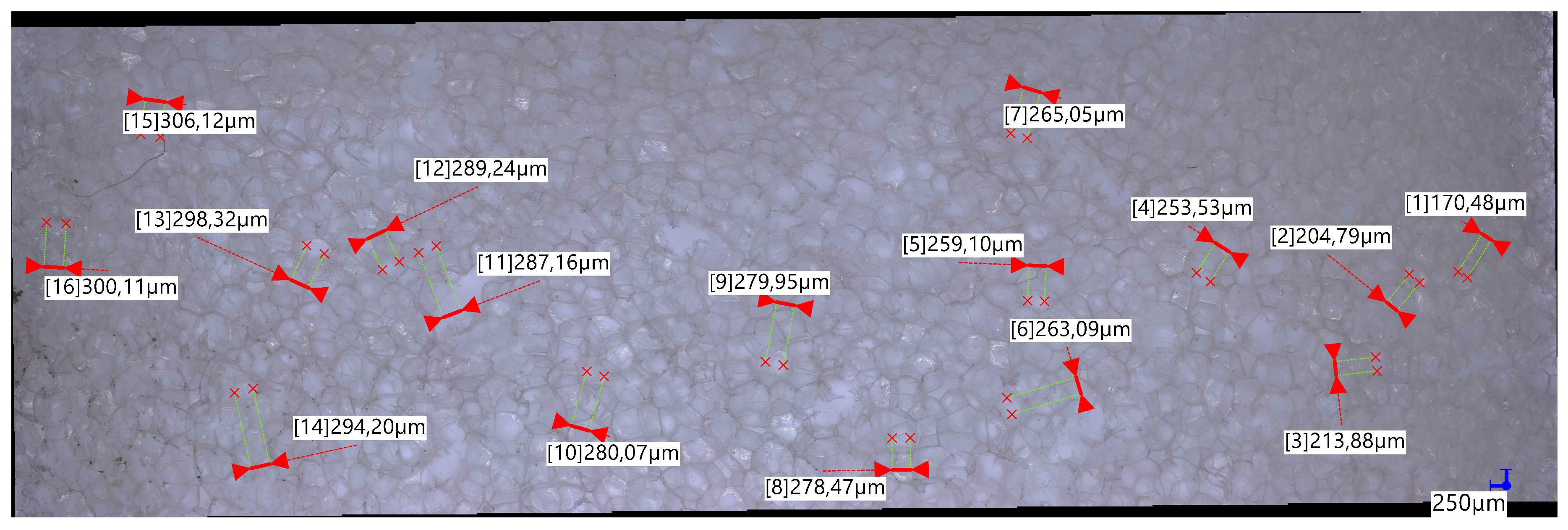 Preprints 119495 g008