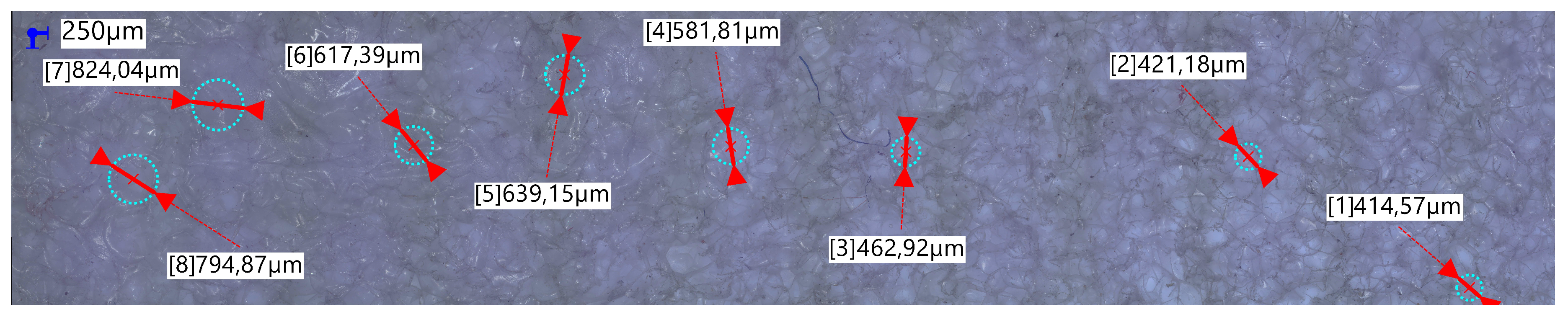 Preprints 119495 g009