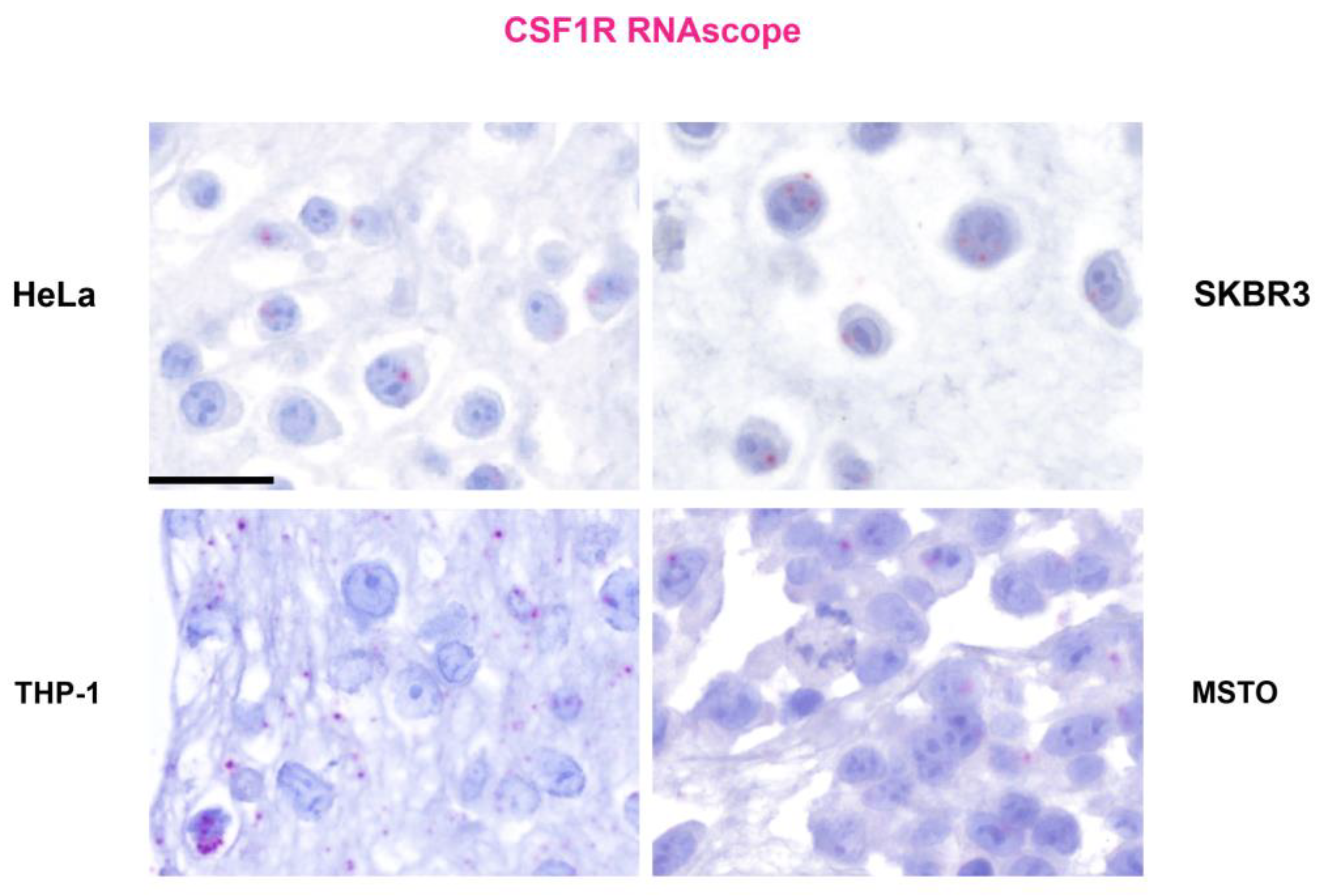 Preprints 93328 g001