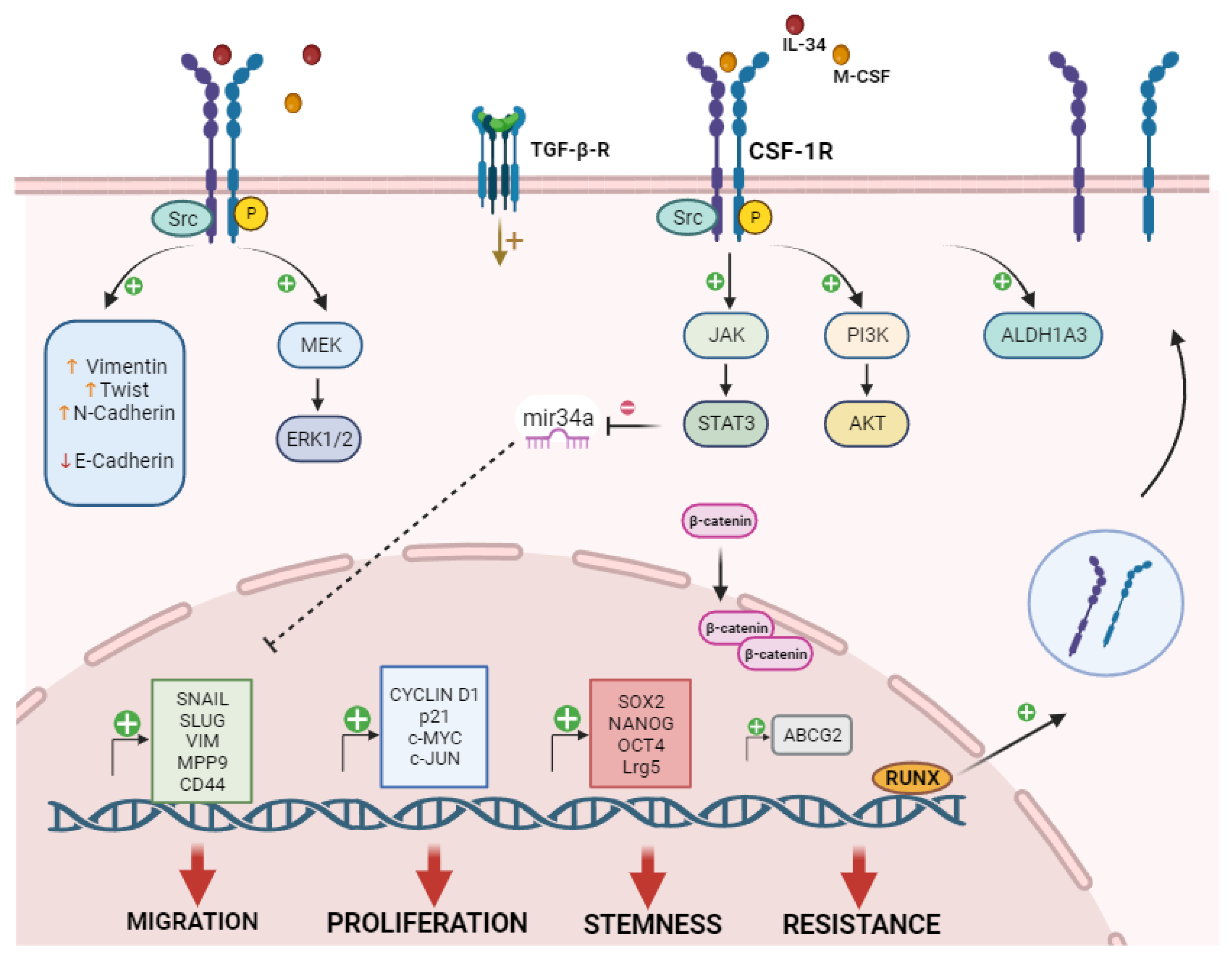 Preprints 93328 g002