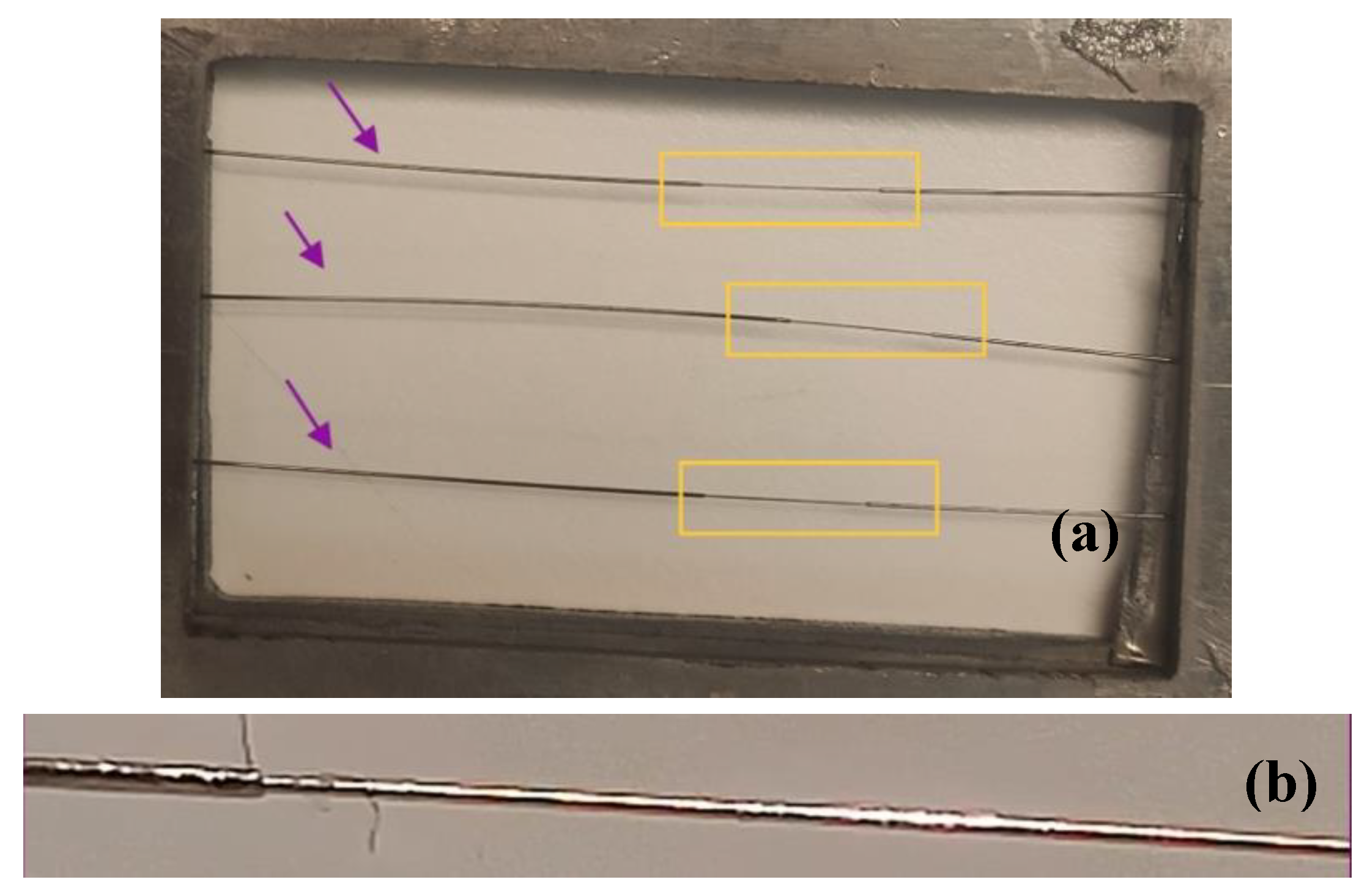 Preprints 104895 g002