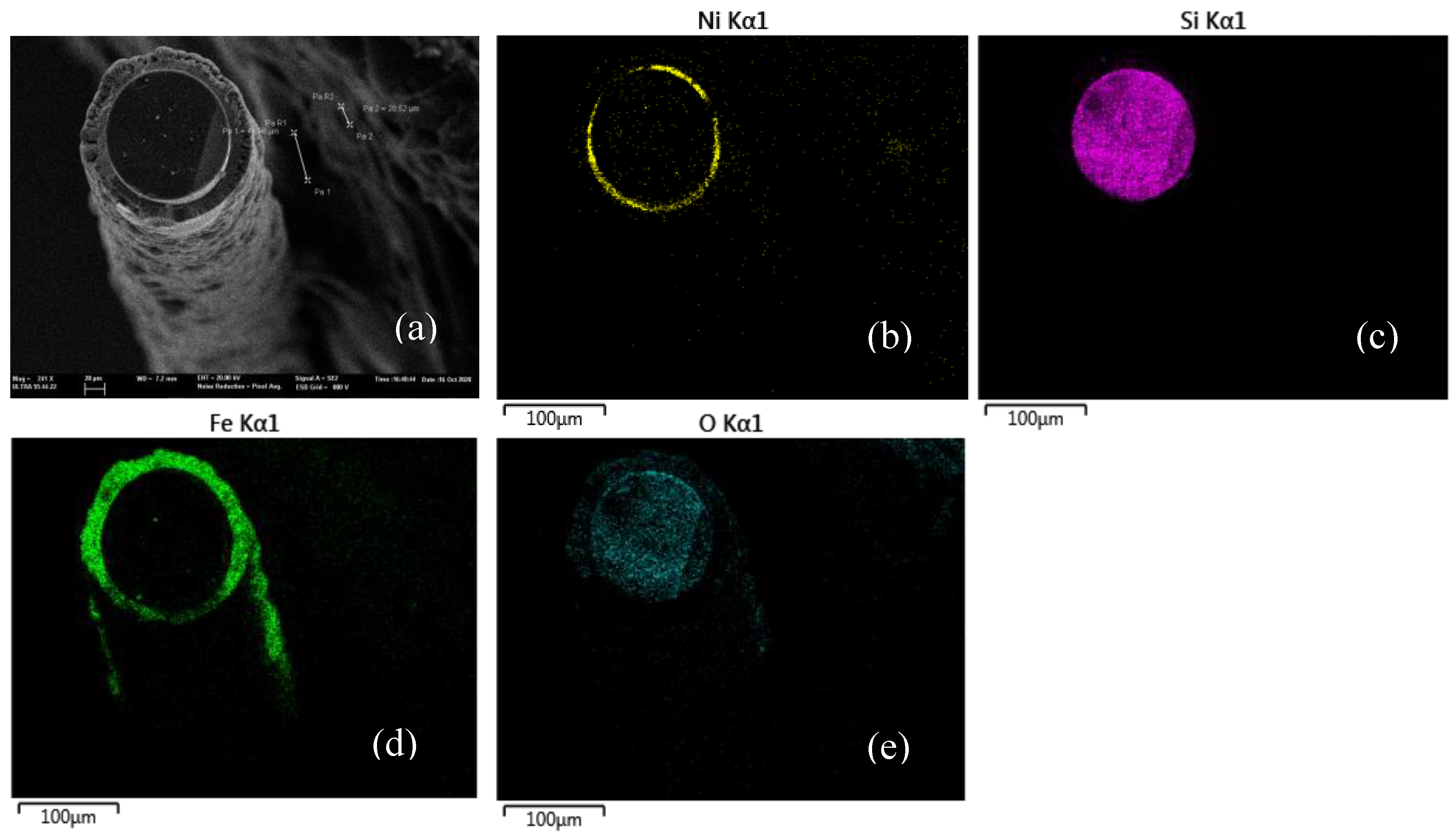 Preprints 104895 g003