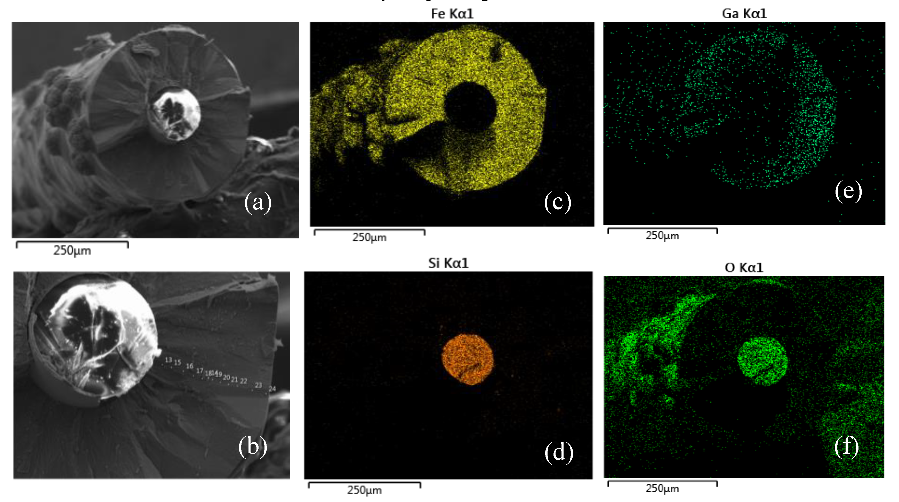 Preprints 104895 g014