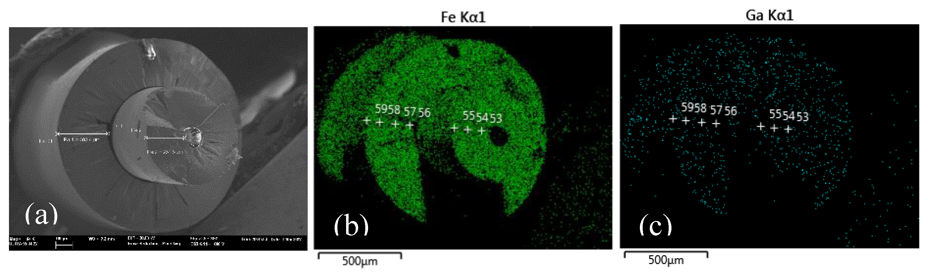 Preprints 104895 g021