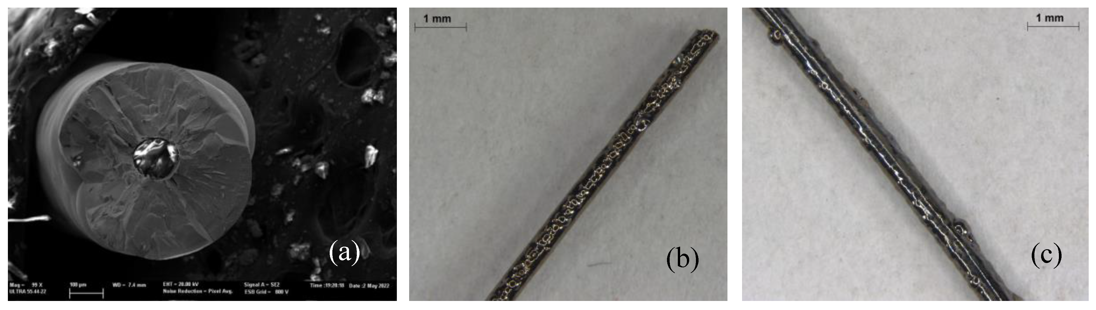 Preprints 104895 g026