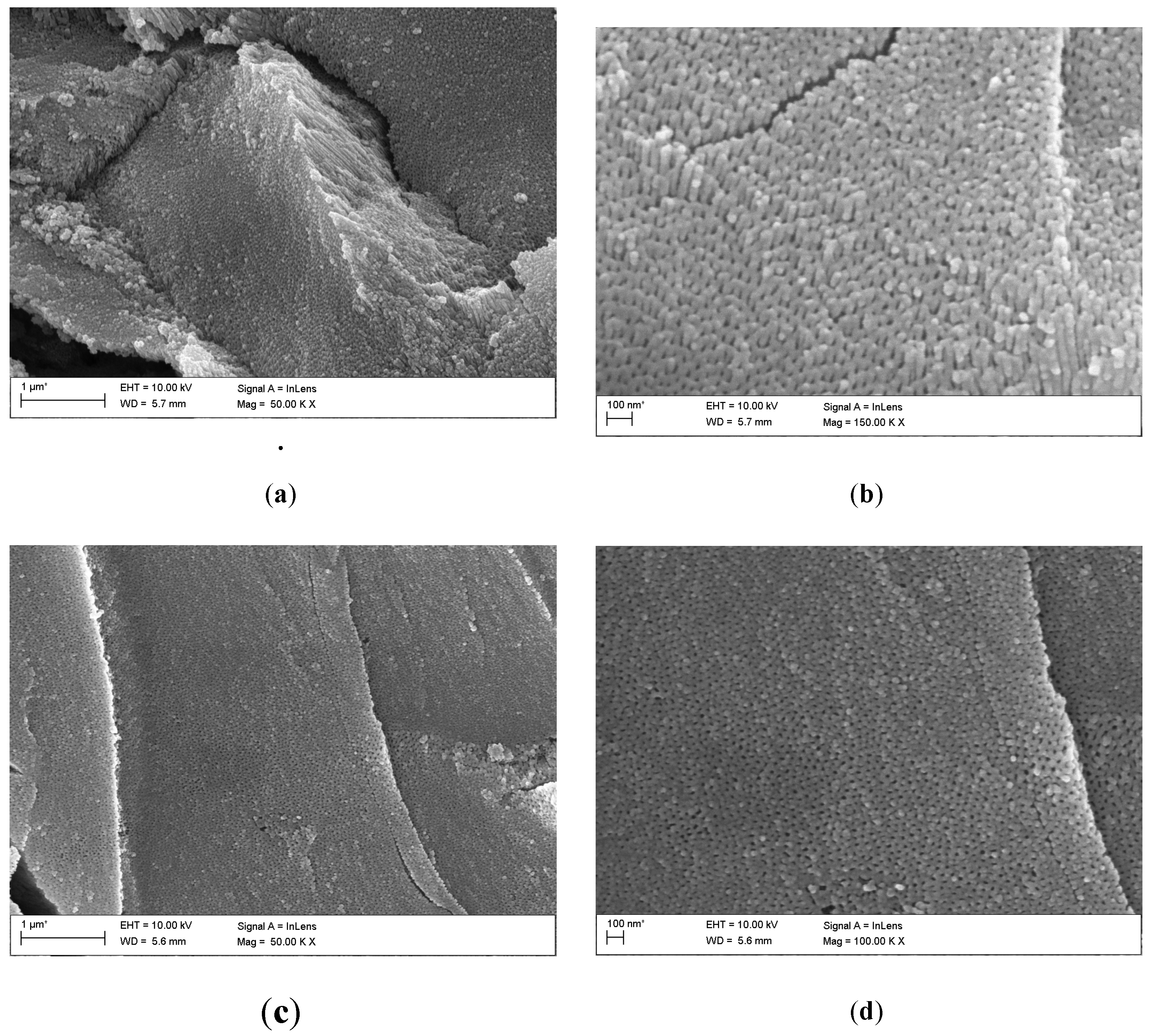 Preprints 109992 g003a