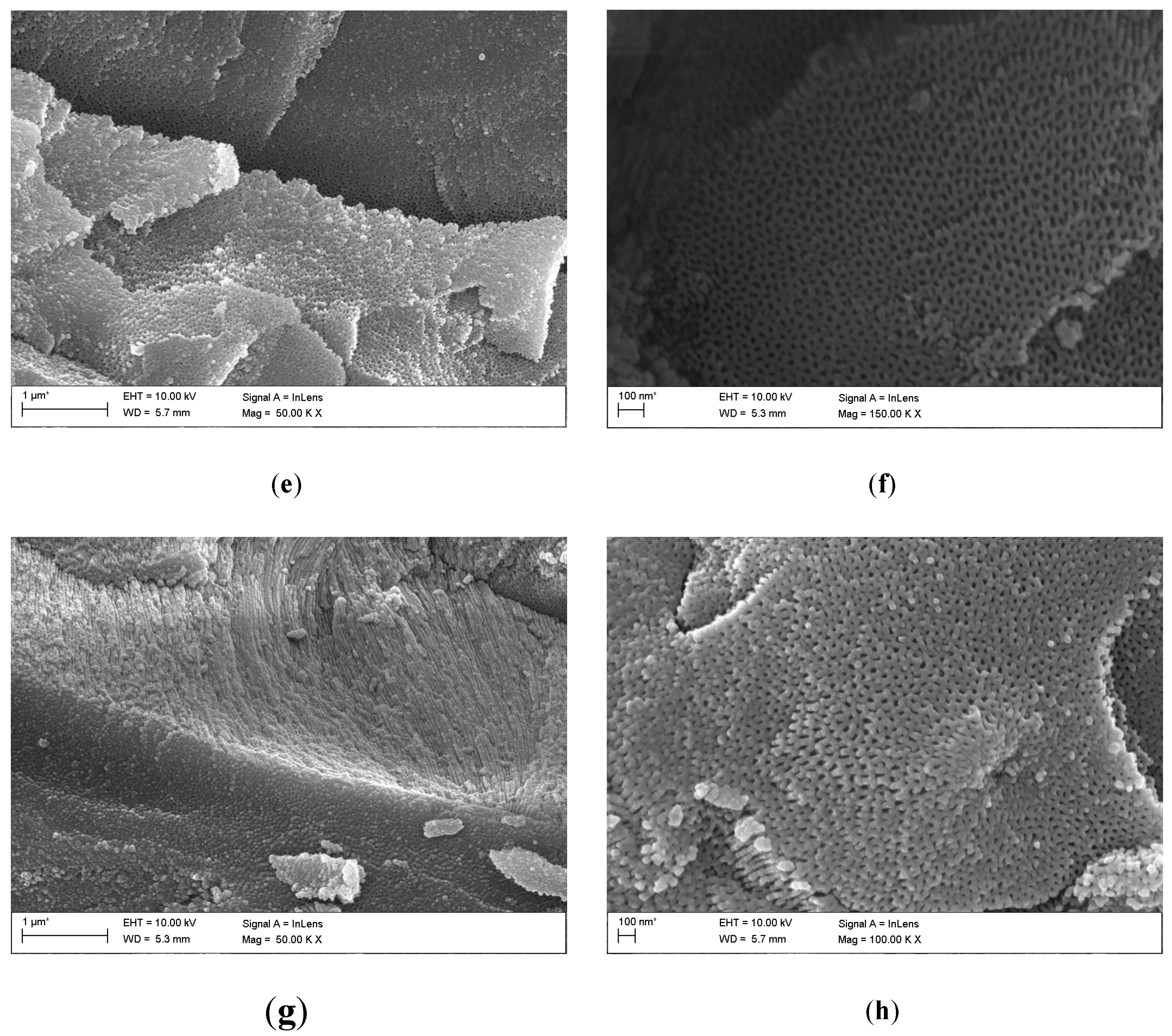 Preprints 109992 g003b