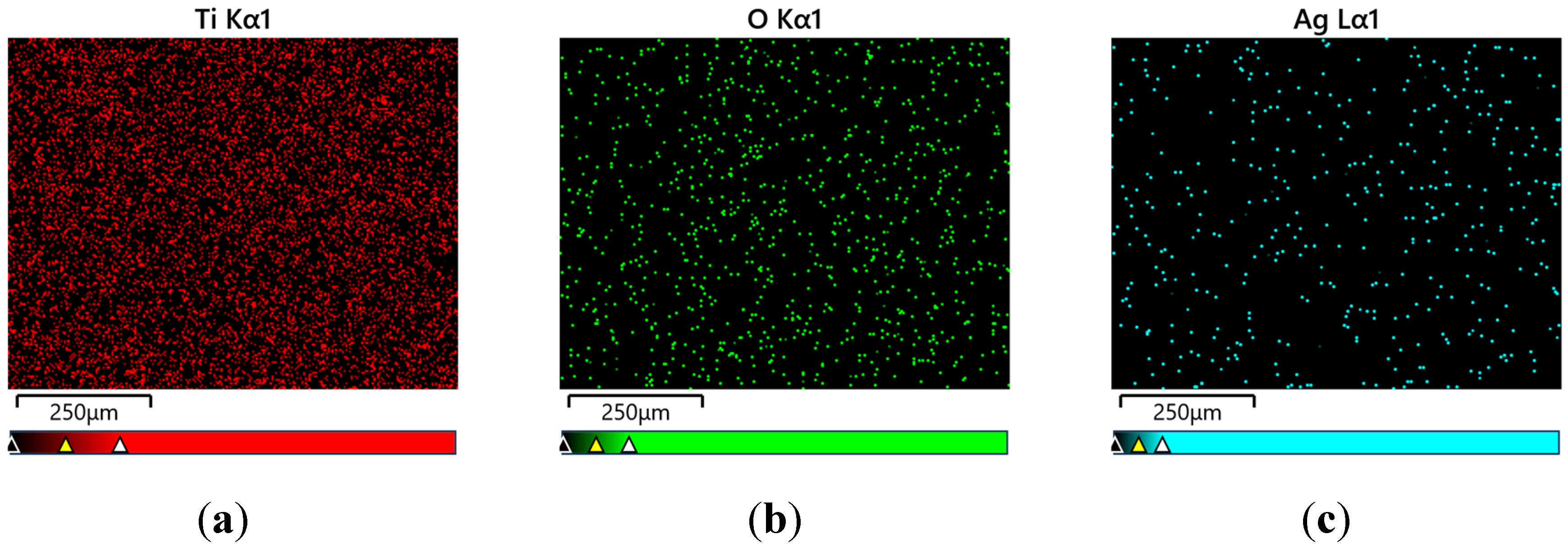 Preprints 109992 g004