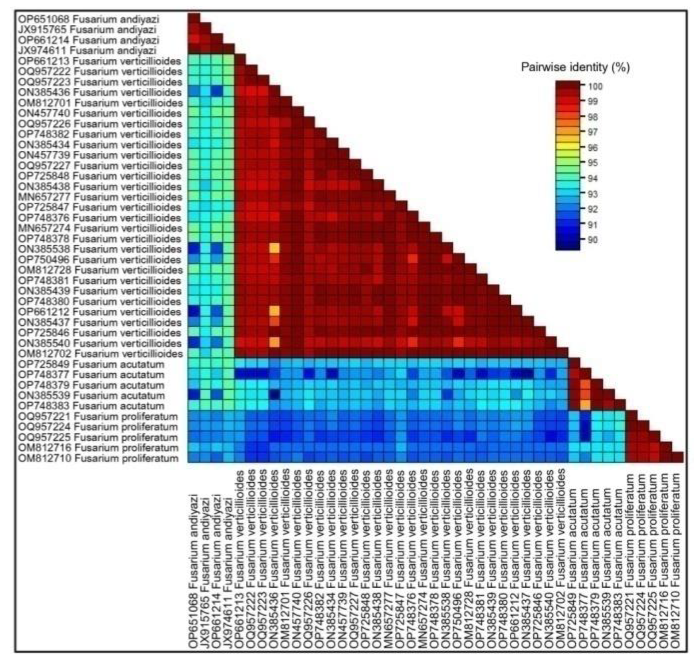 Preprints 105777 g005