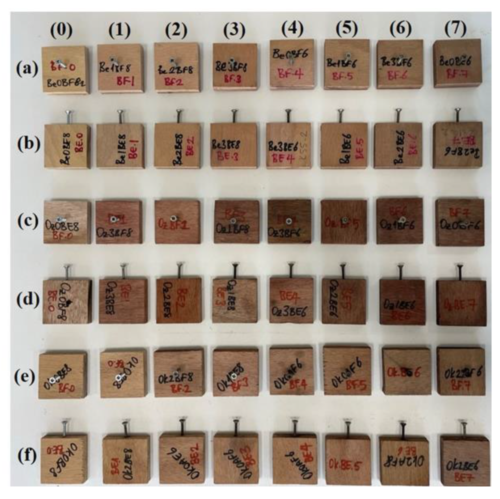 Preprints 71037 g009