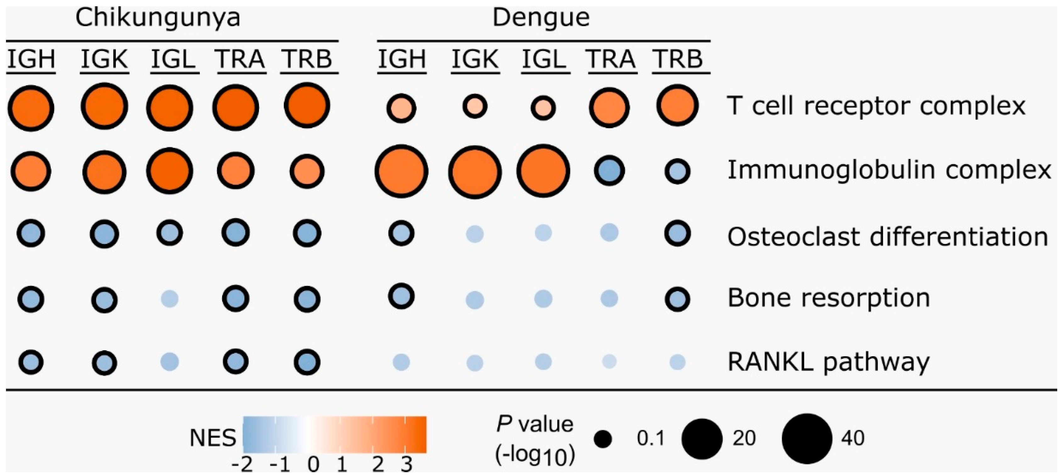 Preprints 113840 g002