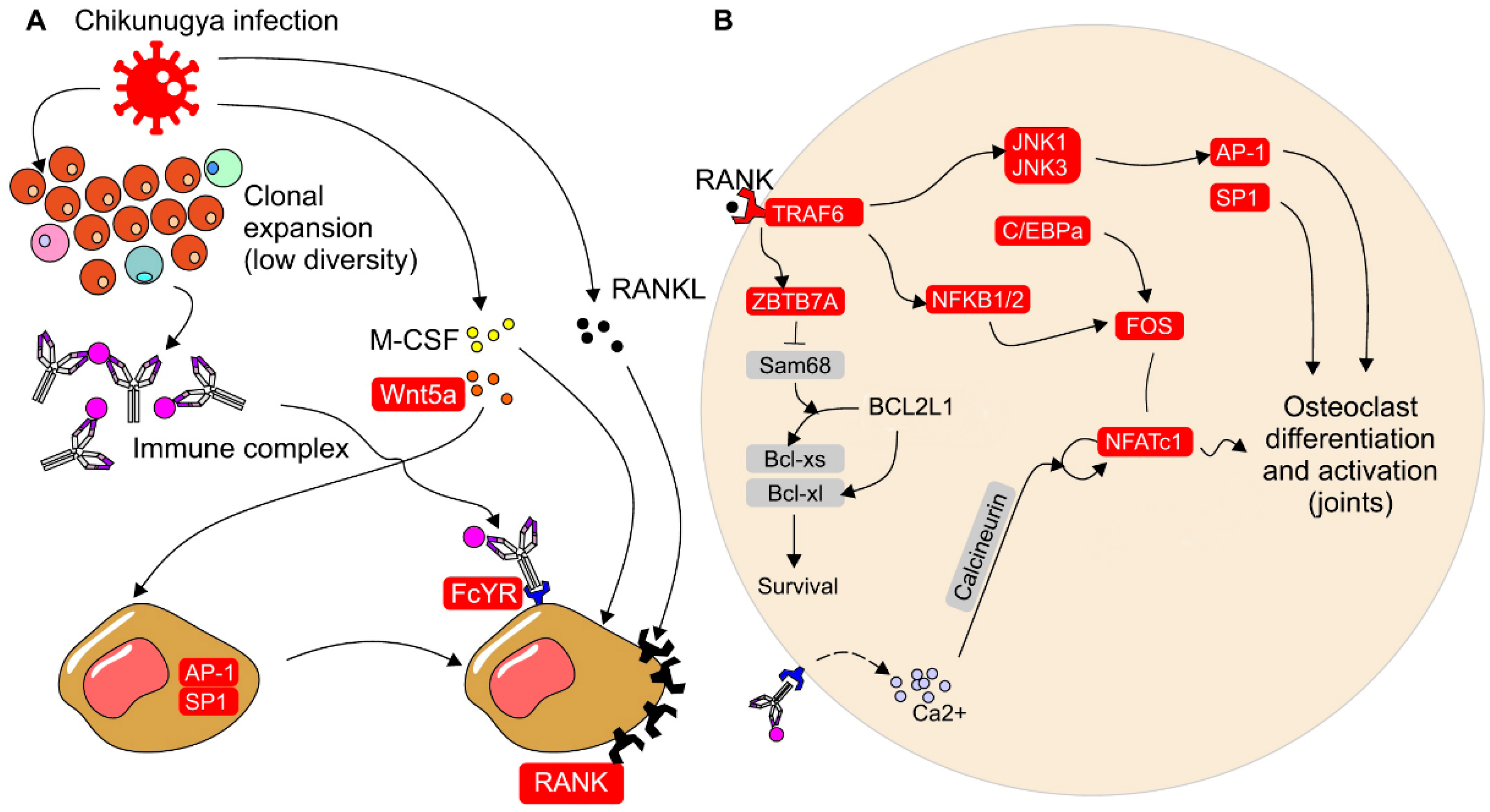 Preprints 113840 g003