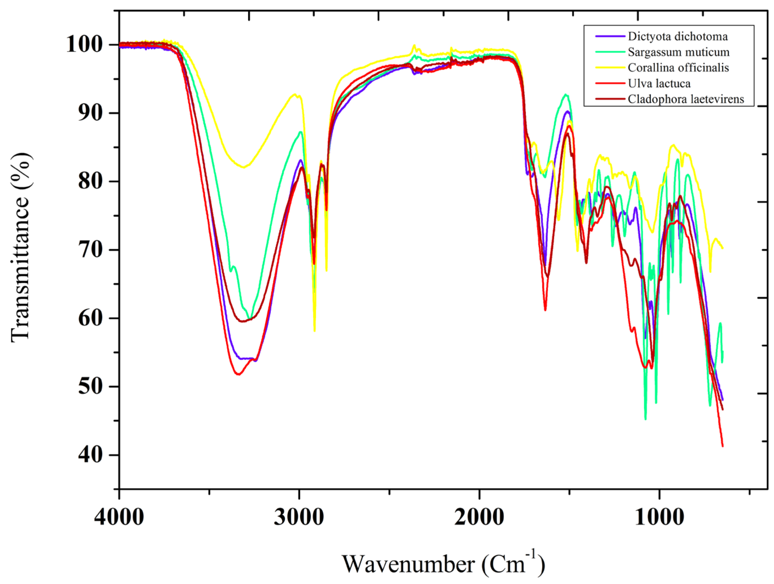 Preprints 108825 g001