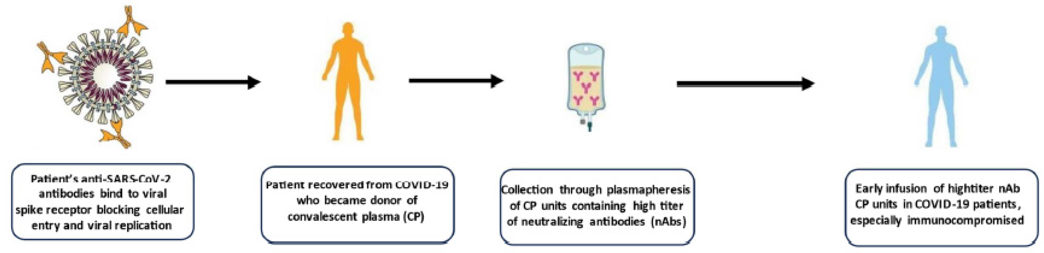 Preprints 91041 g001