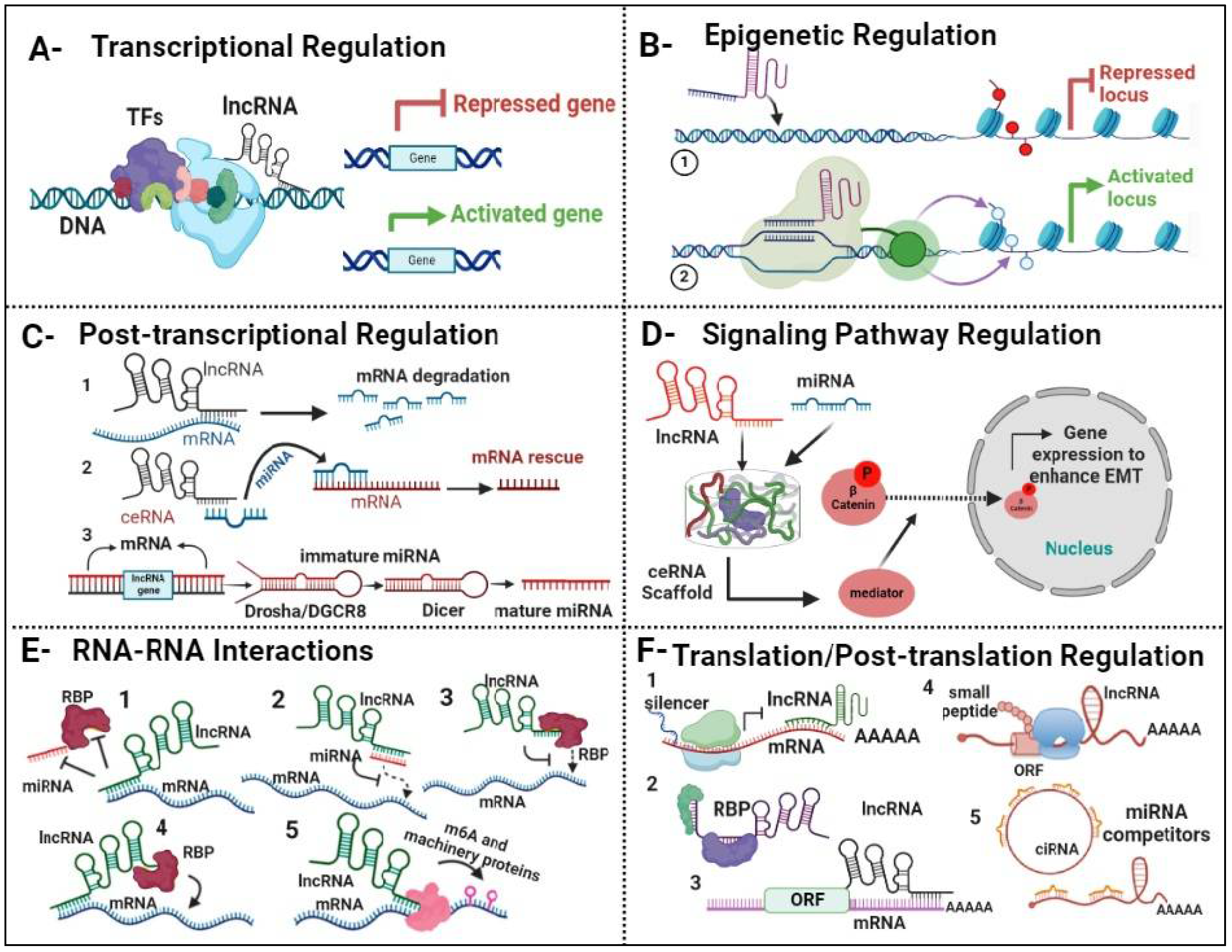 Preprints 110942 g003