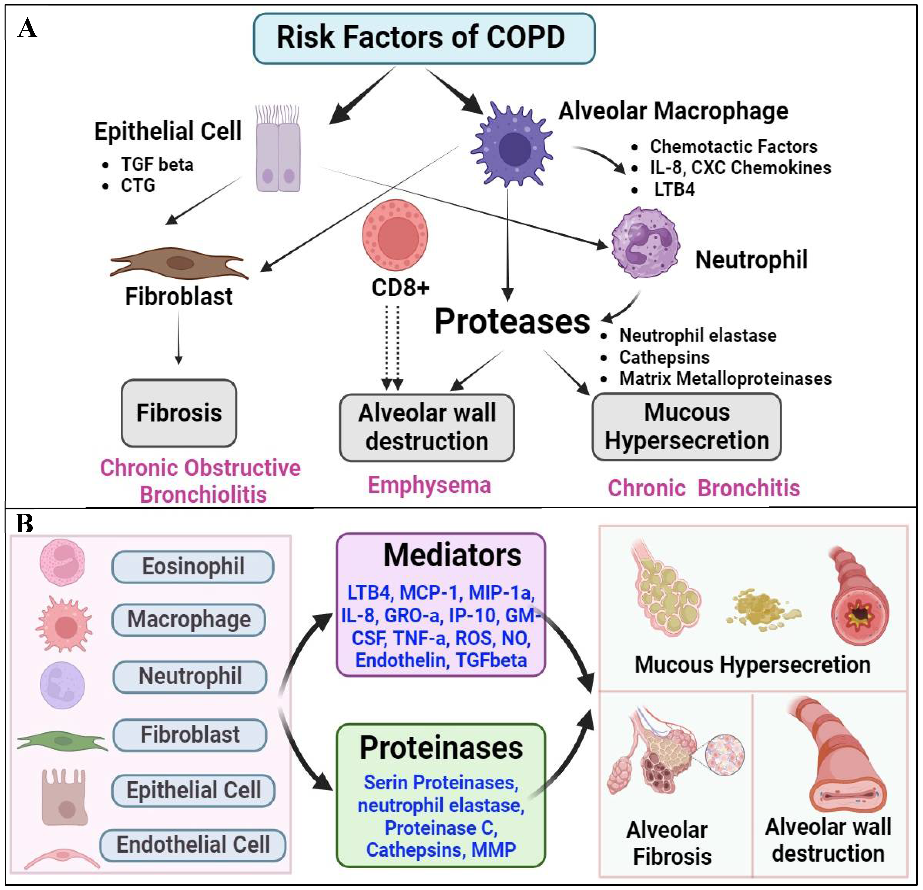 Preprints 110942 g005